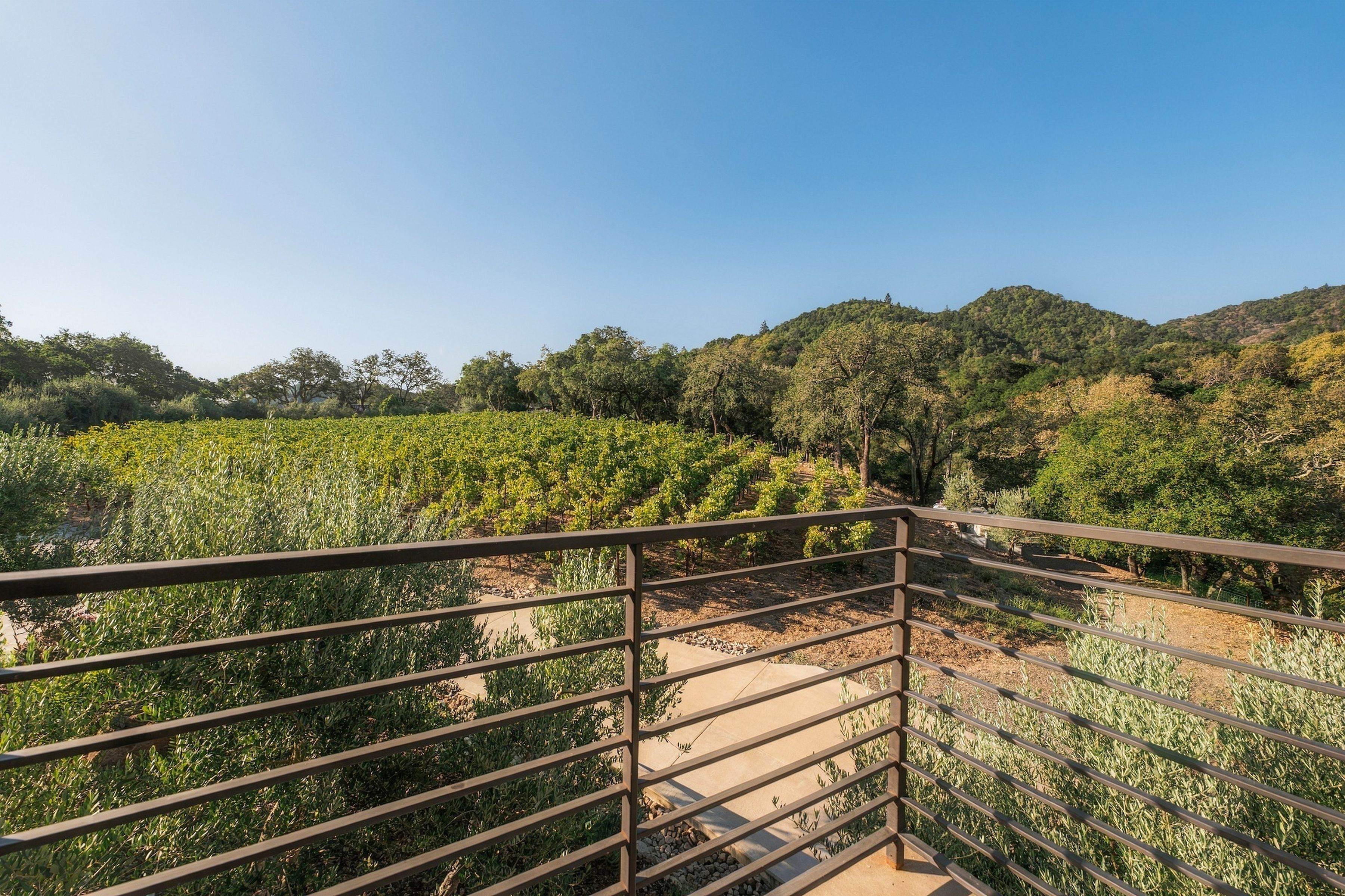  45 Vineyard View Drive - 物件實景