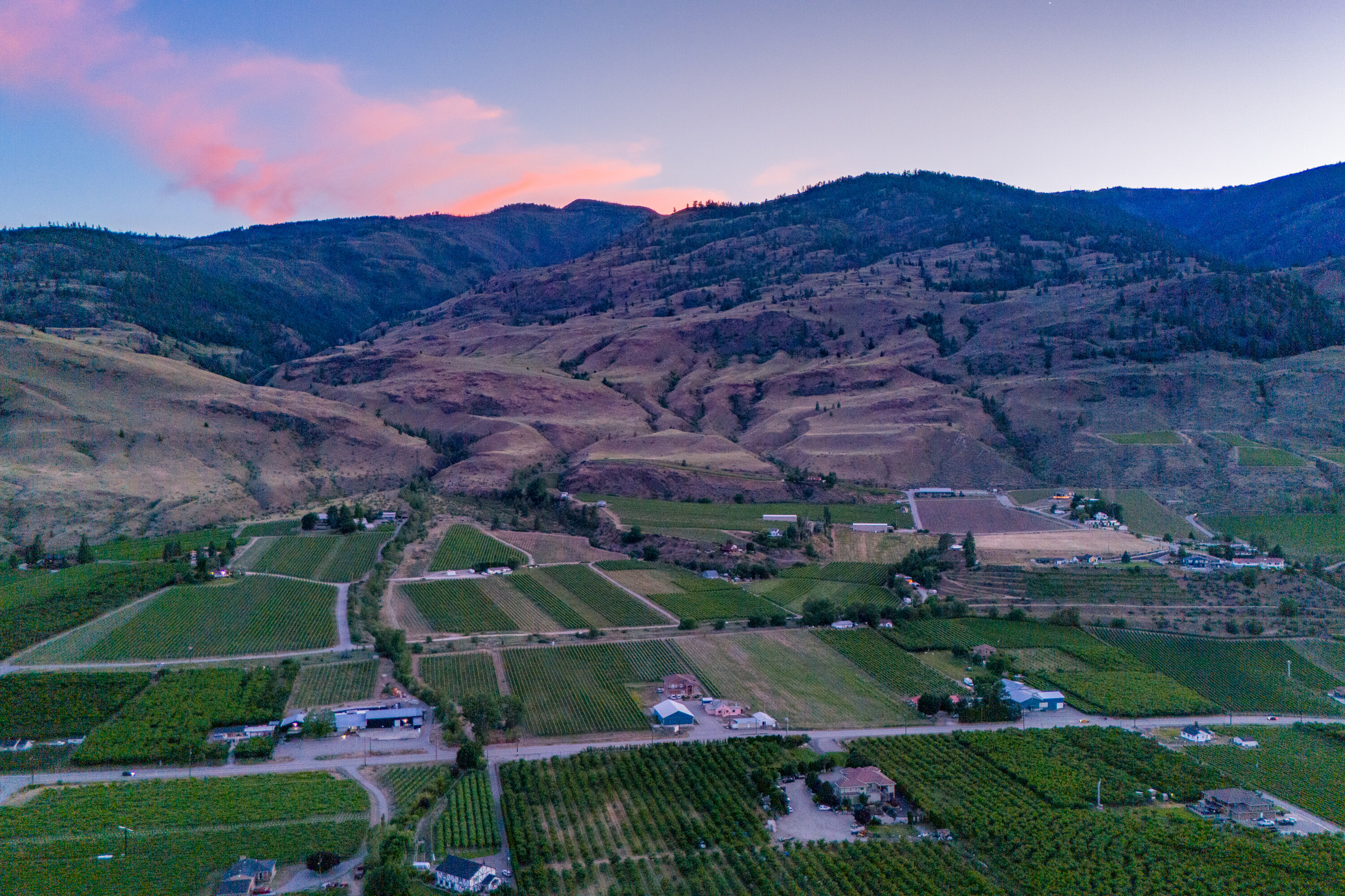  Vineyard Estate Receivership - 物件實景