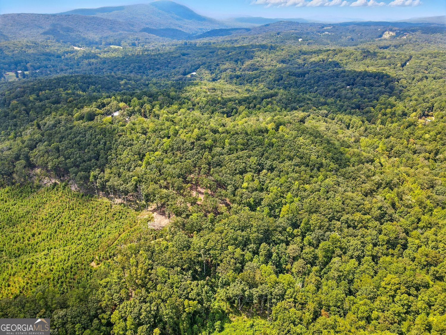 Waleska, Georgia, 30183, United States, ,Land,For Sale,1929808