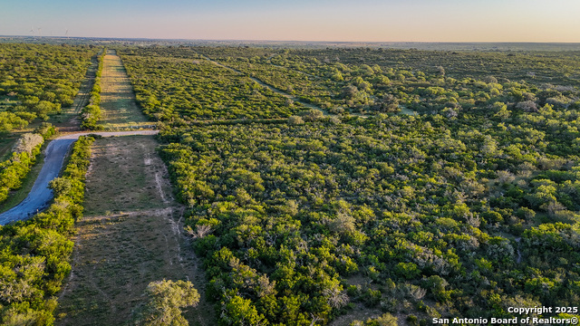 Beeville, Texas, 78102, United States, ,Land,For Sale,1942121