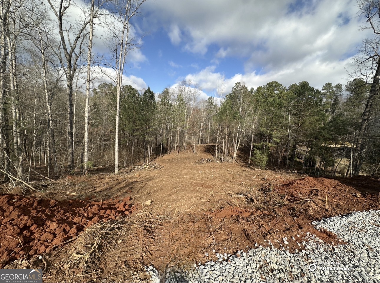 Bishop, Georgia, 30621, United States, 4 Bedrooms Bedrooms, ,4 BathroomsBathrooms,Residential,For Sale,2001856