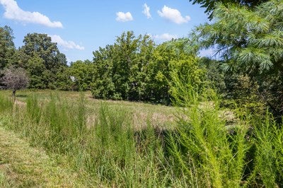 Blairsville, Georgia, 30512, United States, ,Land,For Sale,1933654