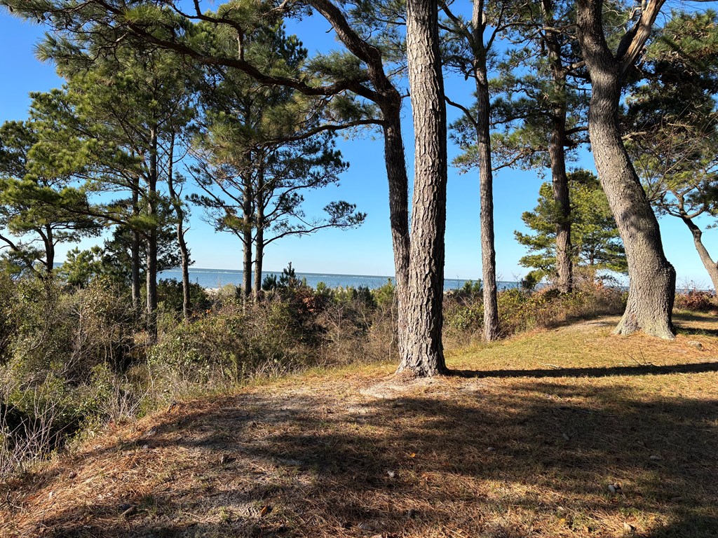 Machipongo, Virginia, 23405, United States, 3 Bedrooms Bedrooms, ,3 BathroomsBathrooms,Residential,For Sale,2003138