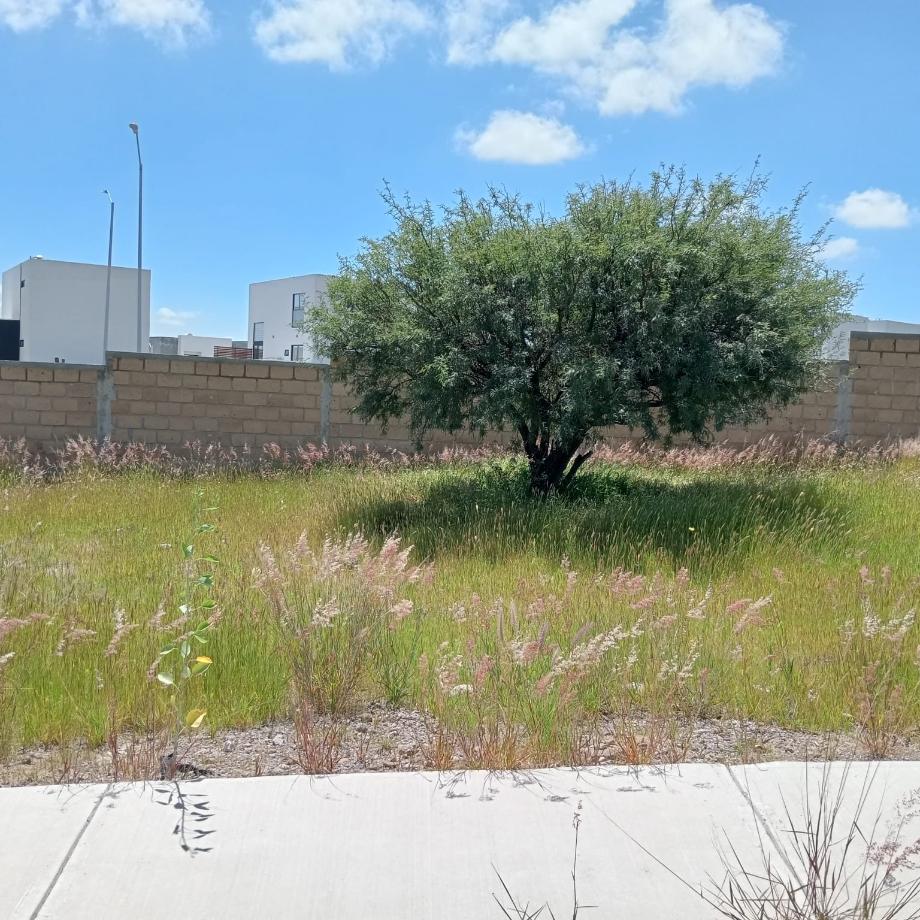 Querétaro, Querétaro, 76226, Mexico, 1 Bedroom Bedrooms, ,Residential,For Sale,1940057
