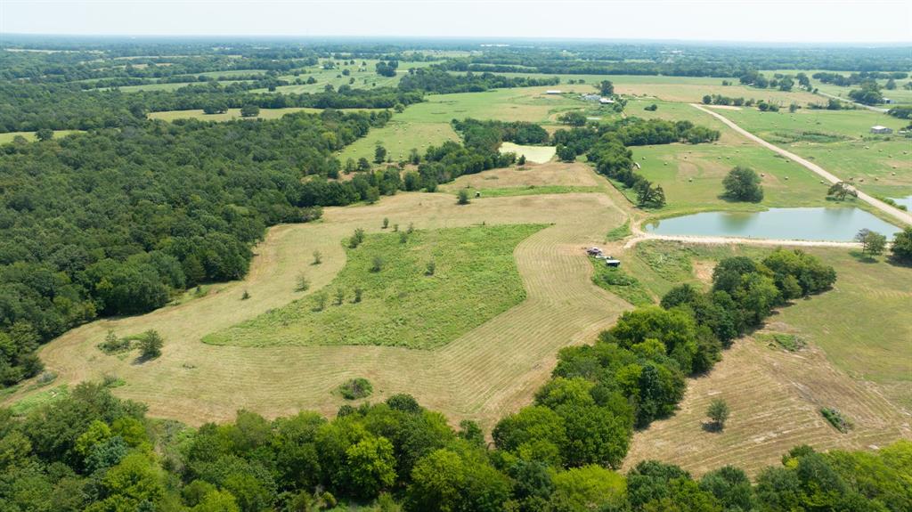 Yantis, Texas, 75497, United States, ,Land,For Sale,1917714