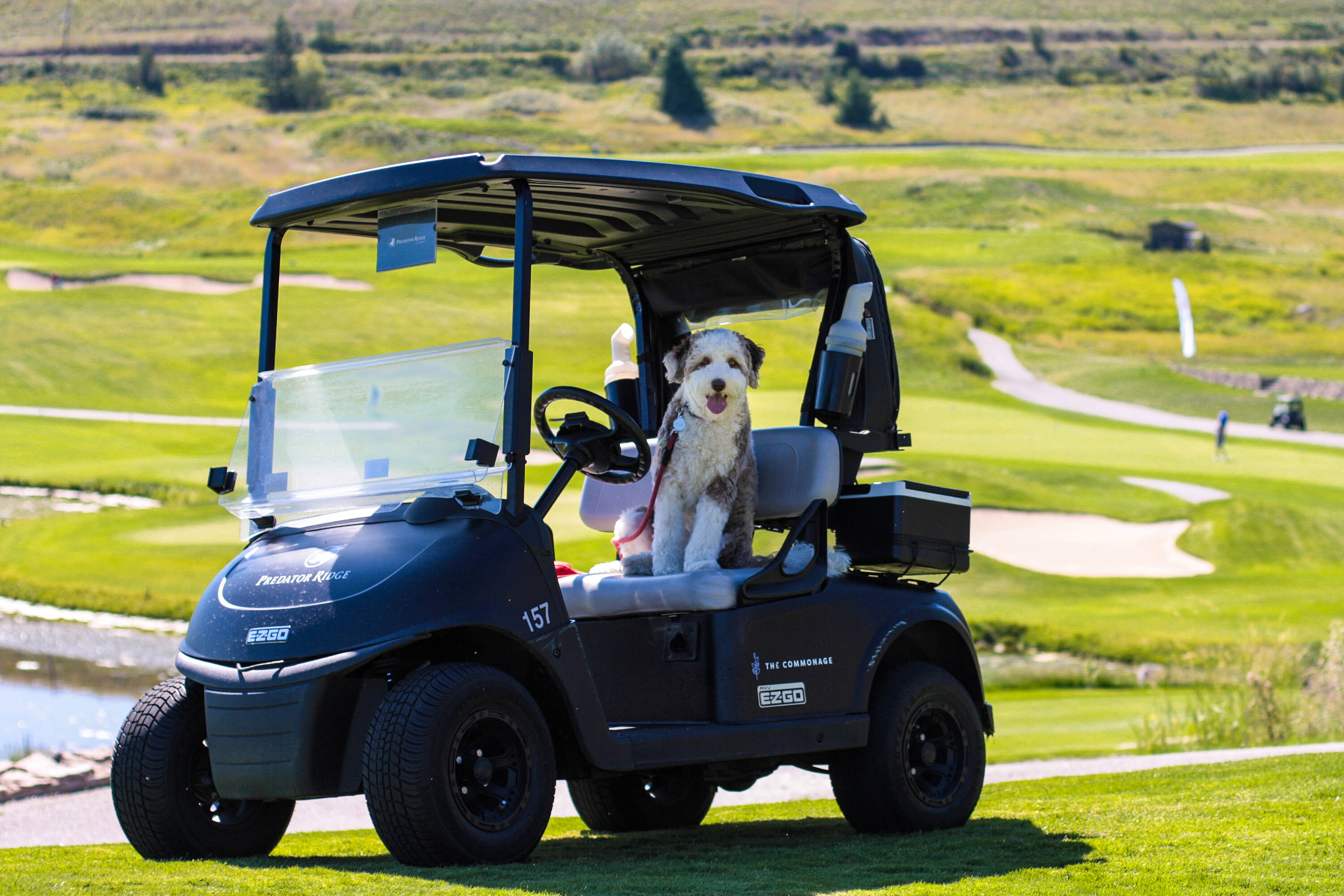  Premium Lot In Wildsong - 物件實景