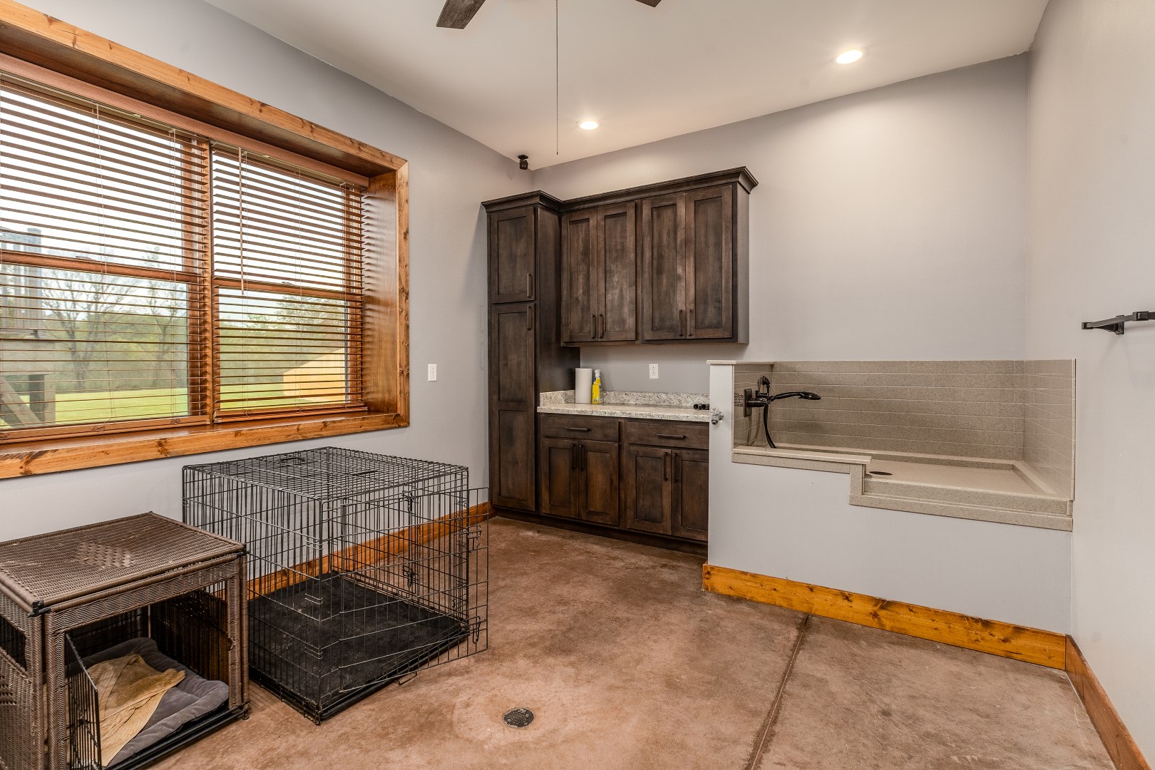 Carbondale, Illinois, 62902, United States, 3 Bedrooms Bedrooms, ,8 BathroomsBathrooms,Residential,For Sale,1986074