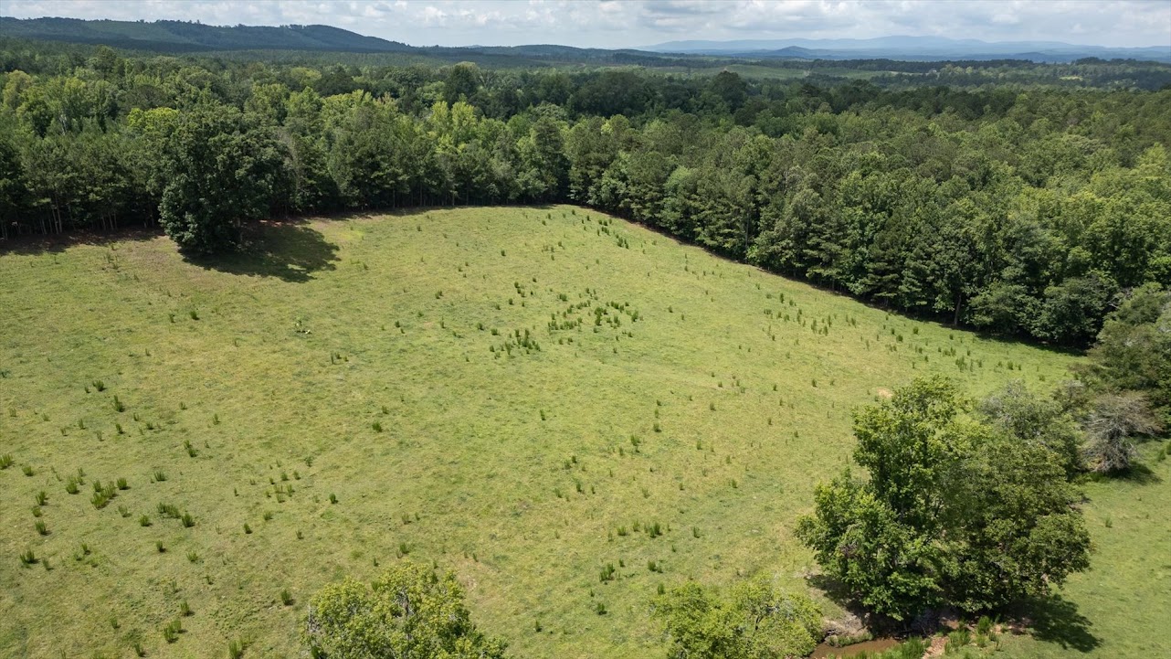 Heflin, Alabama, 36264, United States, ,Land,For Sale,1981342