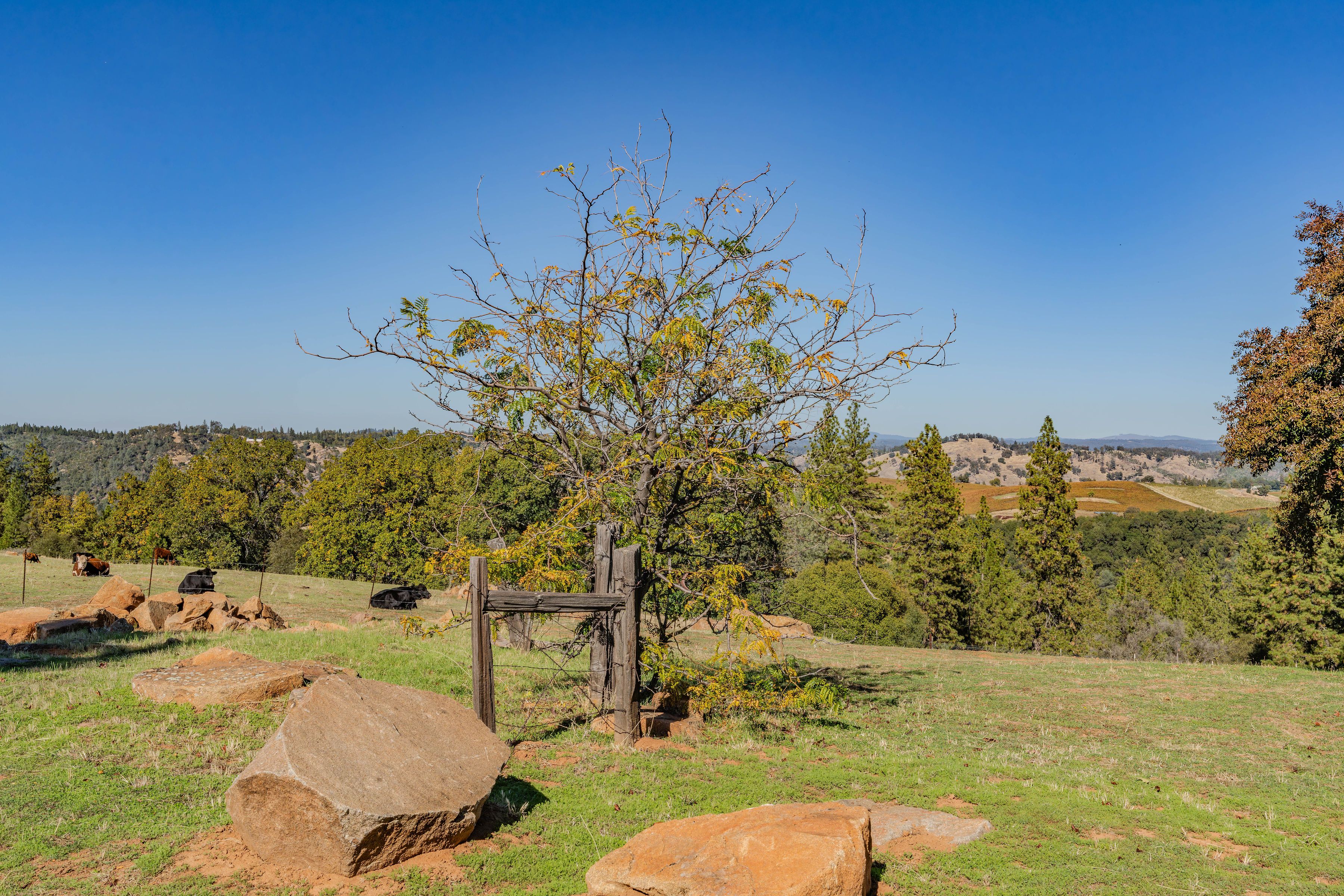  12551 Steiner Road, Plymouth, CA 95669 - 物件實景
