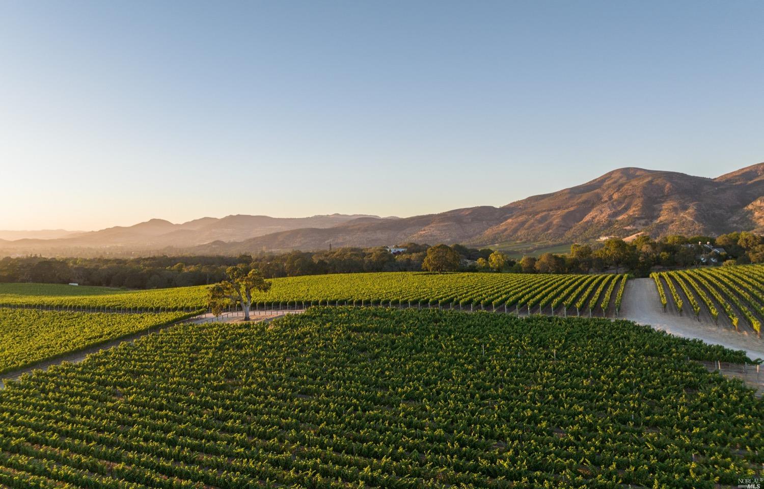 Napa, California, 94558, United States, 7 Bedrooms Bedrooms, ,11 BathroomsBathrooms,Residential,For Sale,1766970