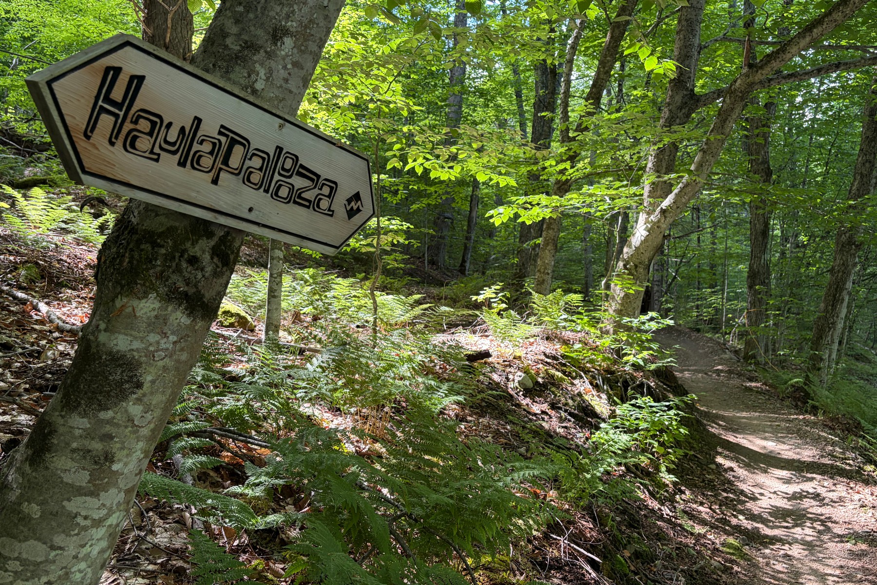  184 Wildewood Lane - 物件實景
