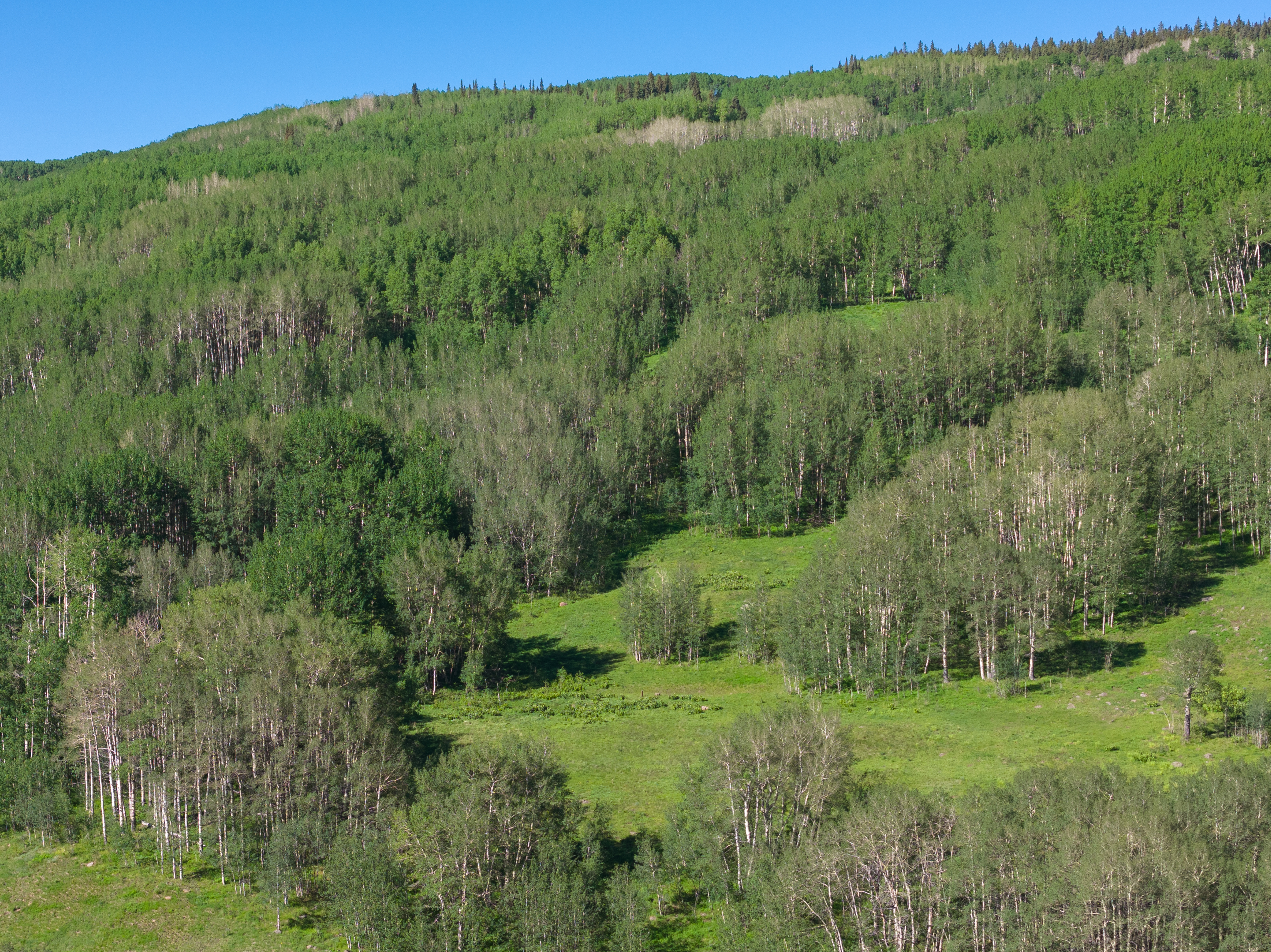  2177 Aspen Mountain Road - 物件實景