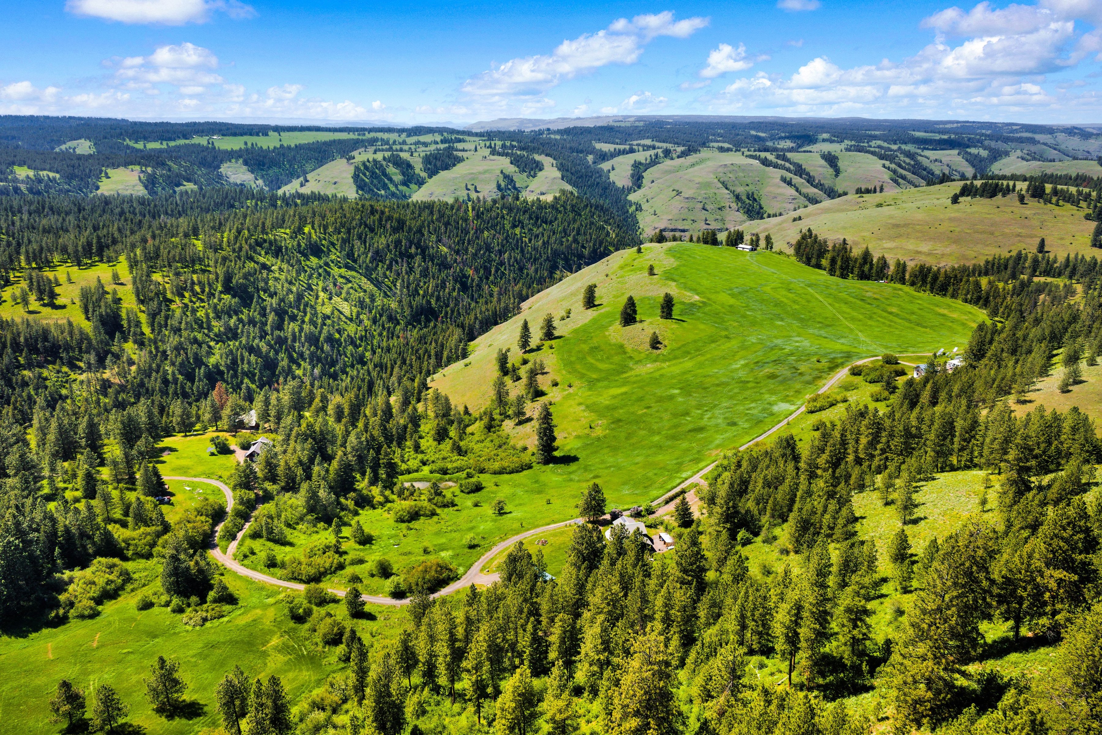  Idaho Dream Property: Hunting, Fishing & Total Privacy - 物件實景