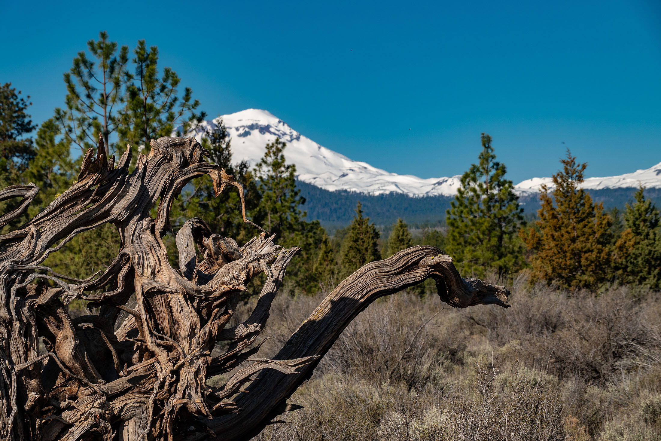 Bend, Oregon, 97703, United States, 3 Bedrooms Bedrooms, ,2 BathroomsBathrooms,Residential,For Sale,1826541