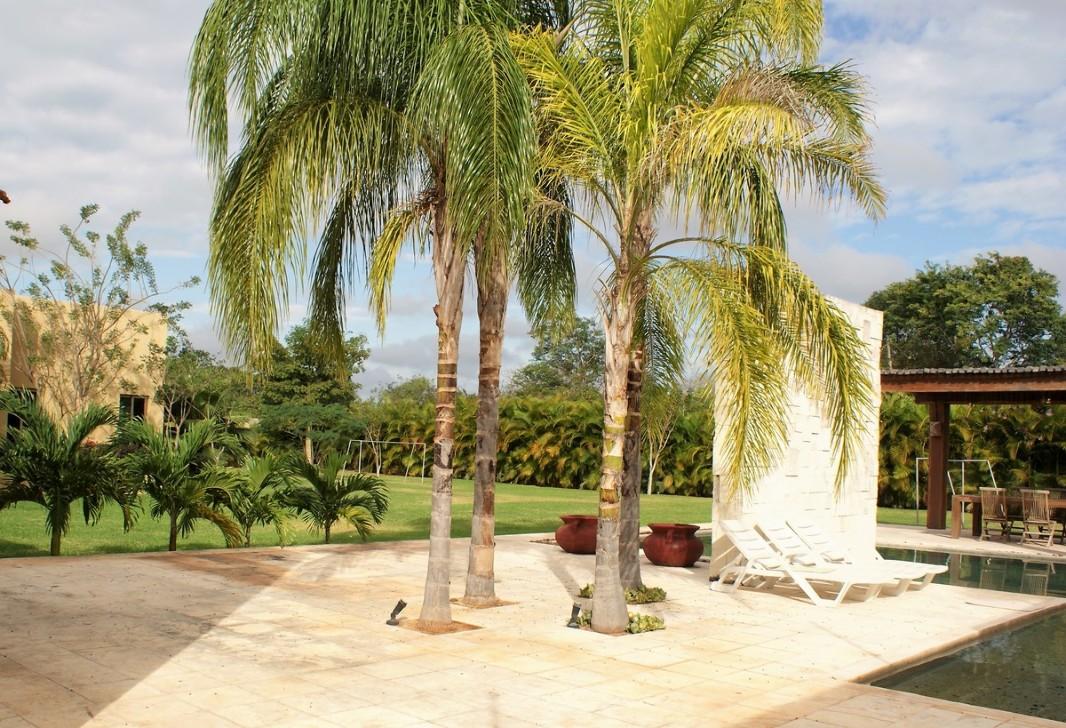 Conocido, Mérida, Yucatán, 97302, Mexico, 5 Bedrooms Bedrooms, ,5 BathroomsBathrooms,Residential,For Sale,Conocido,1441404