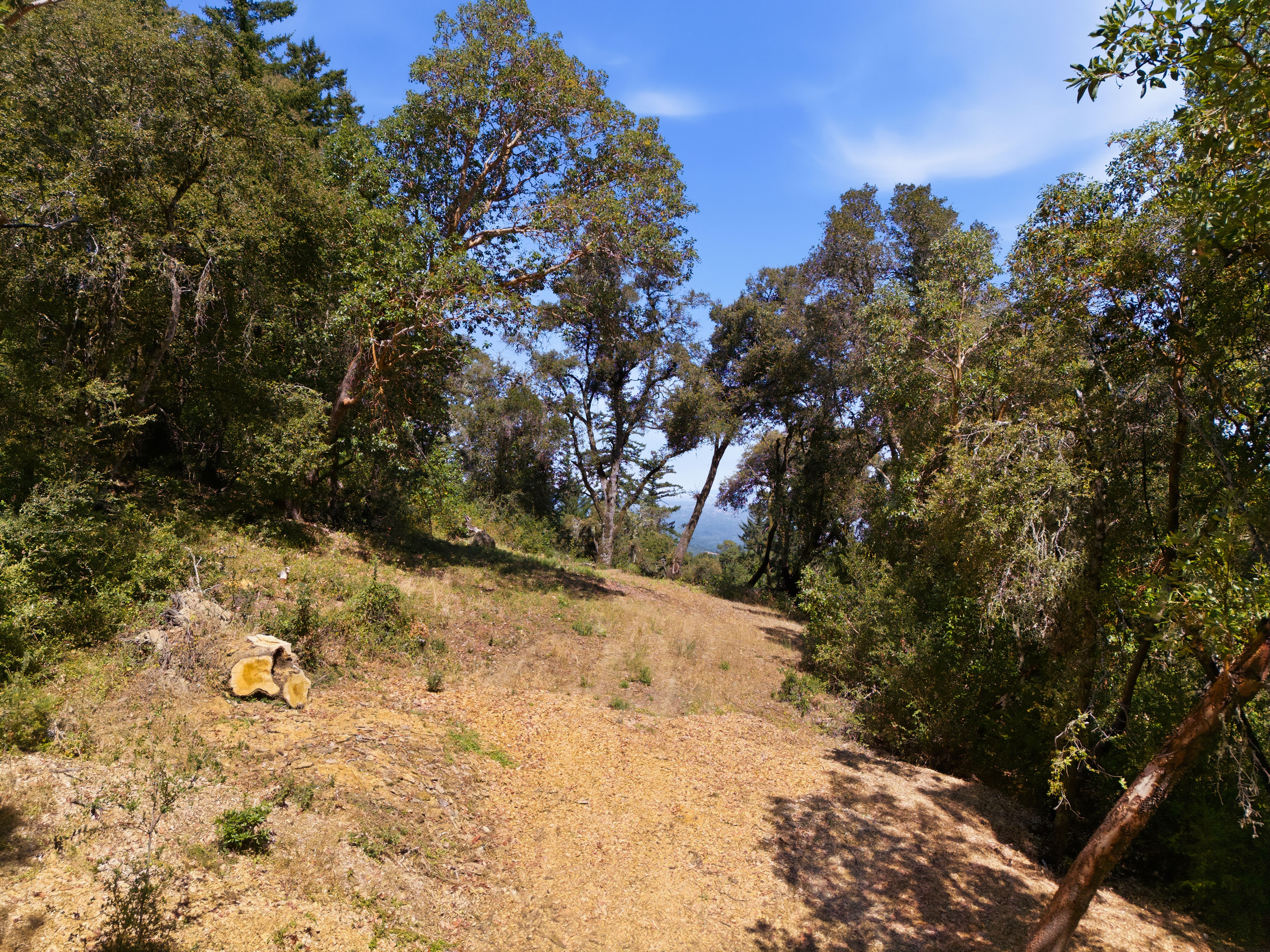  Exceptional Five-Acre Estate Opportunity with Bay Area Views - 物件實景