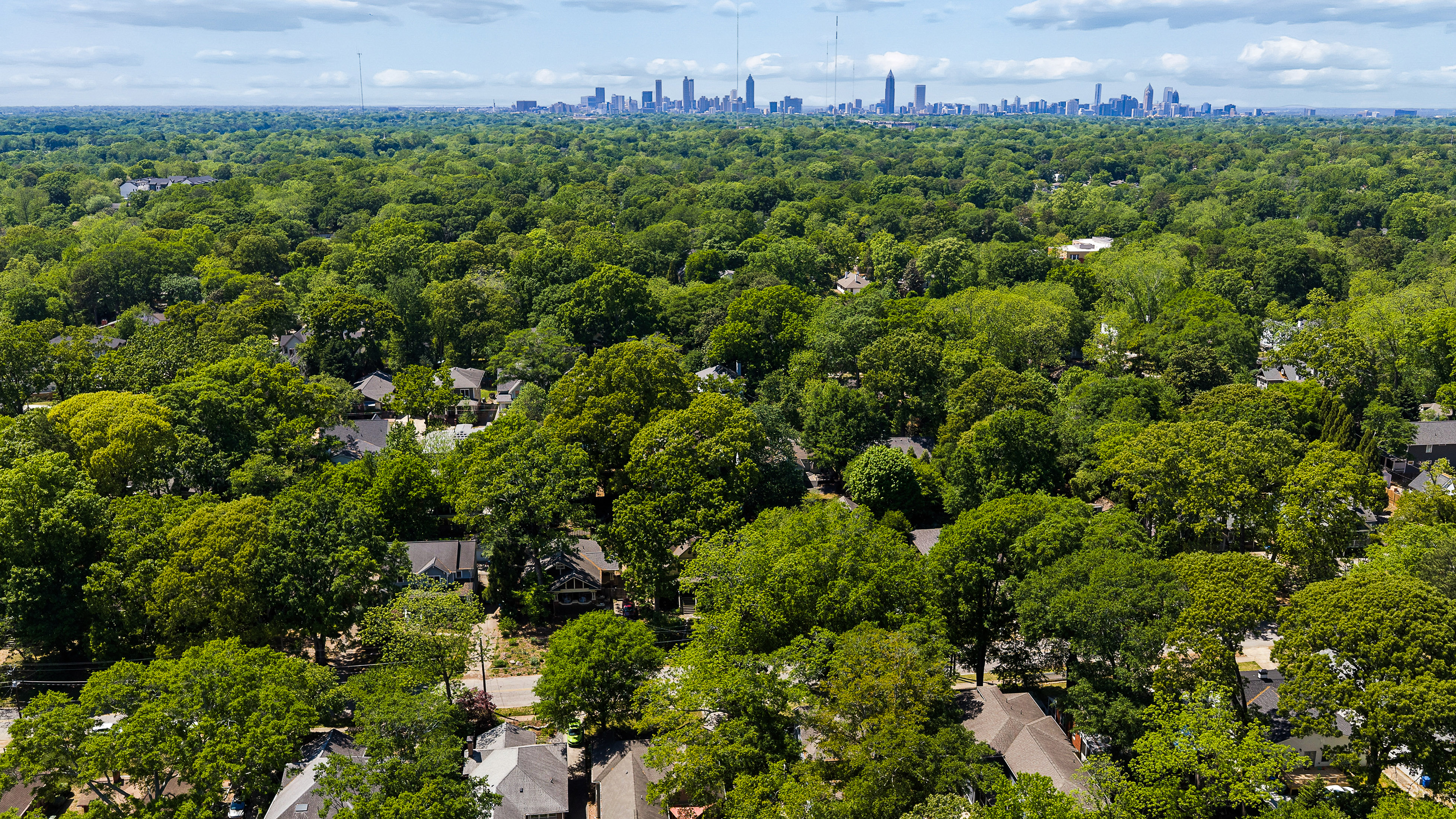  Classic Character Meets Modern Livability - 物件實景