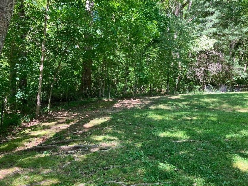 Young Harris, Georgia, 30582, United States, 3 Bedrooms Bedrooms, ,3 BathroomsBathrooms,Residential,For Sale,1915067