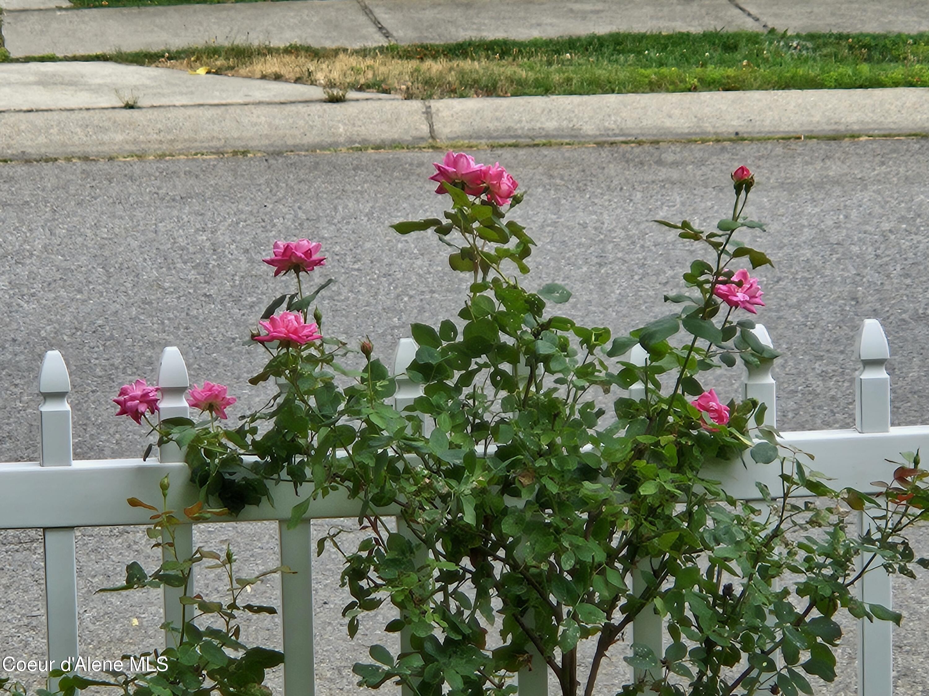 Rathdrum, Idaho, 83858, United States, 4 Bedrooms Bedrooms, ,3 BathroomsBathrooms,Residential,For Sale,2011357