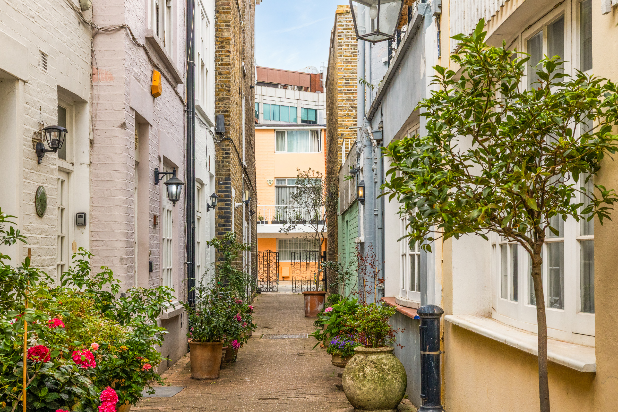  A Hidden Garden House with Exceptional Potential in Earl