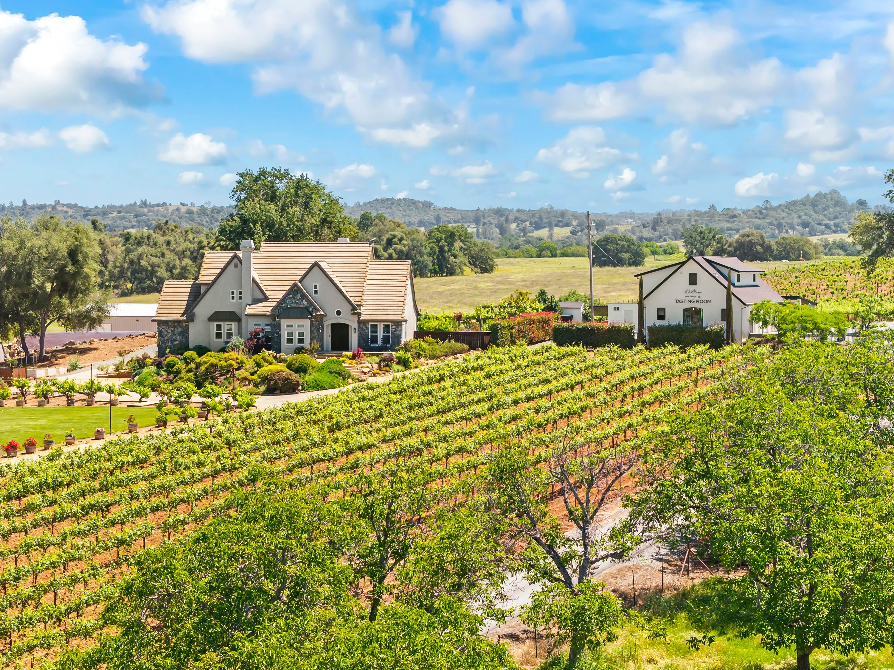  Luxury Living Meets Wine Country Magic on 24 Stunning Acres - 物件實景