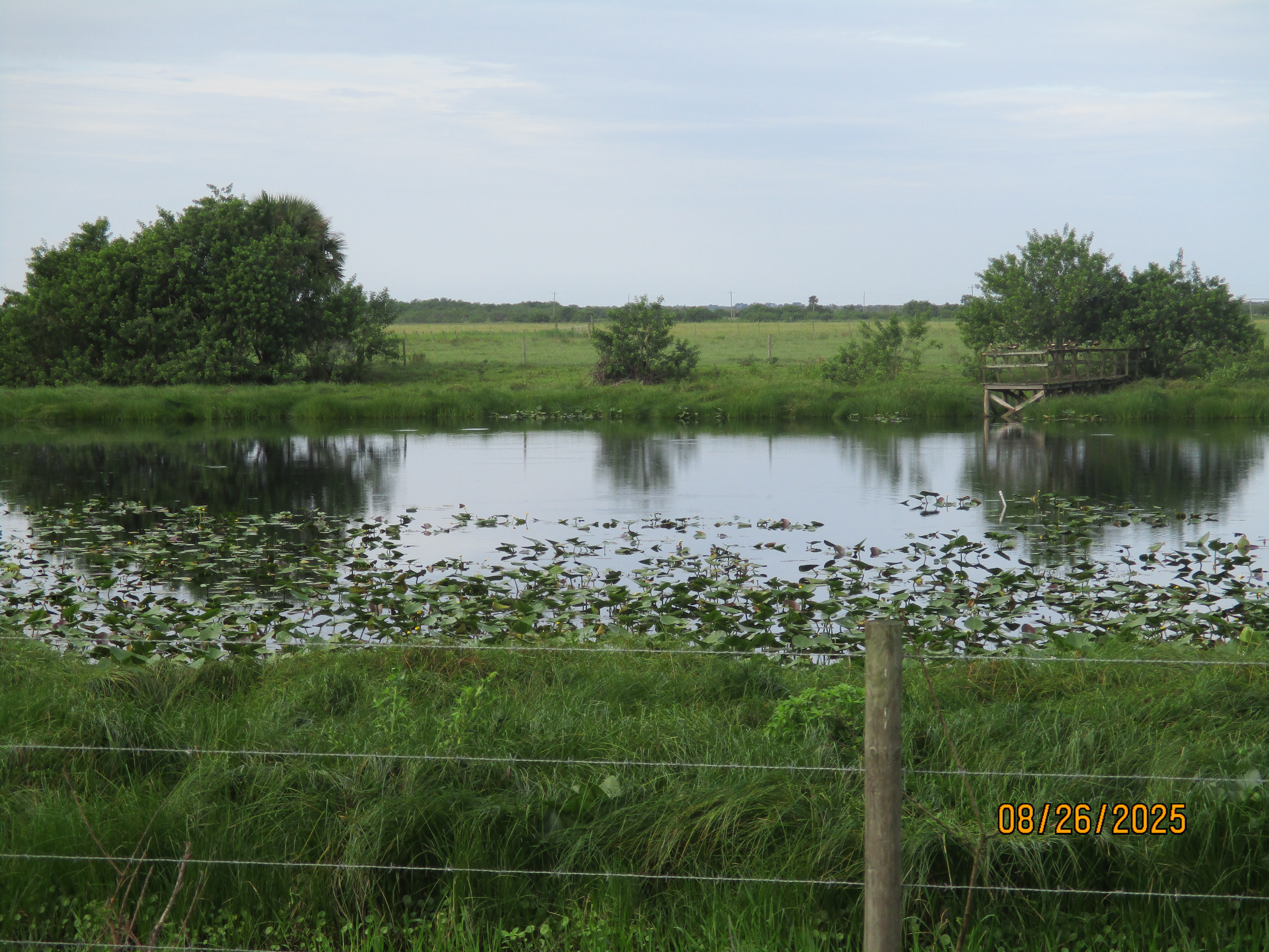 Okeechobee, Florida, 34972, United States, 4 Bedrooms Bedrooms, ,4 BathroomsBathrooms,Residential,For Sale,1973708