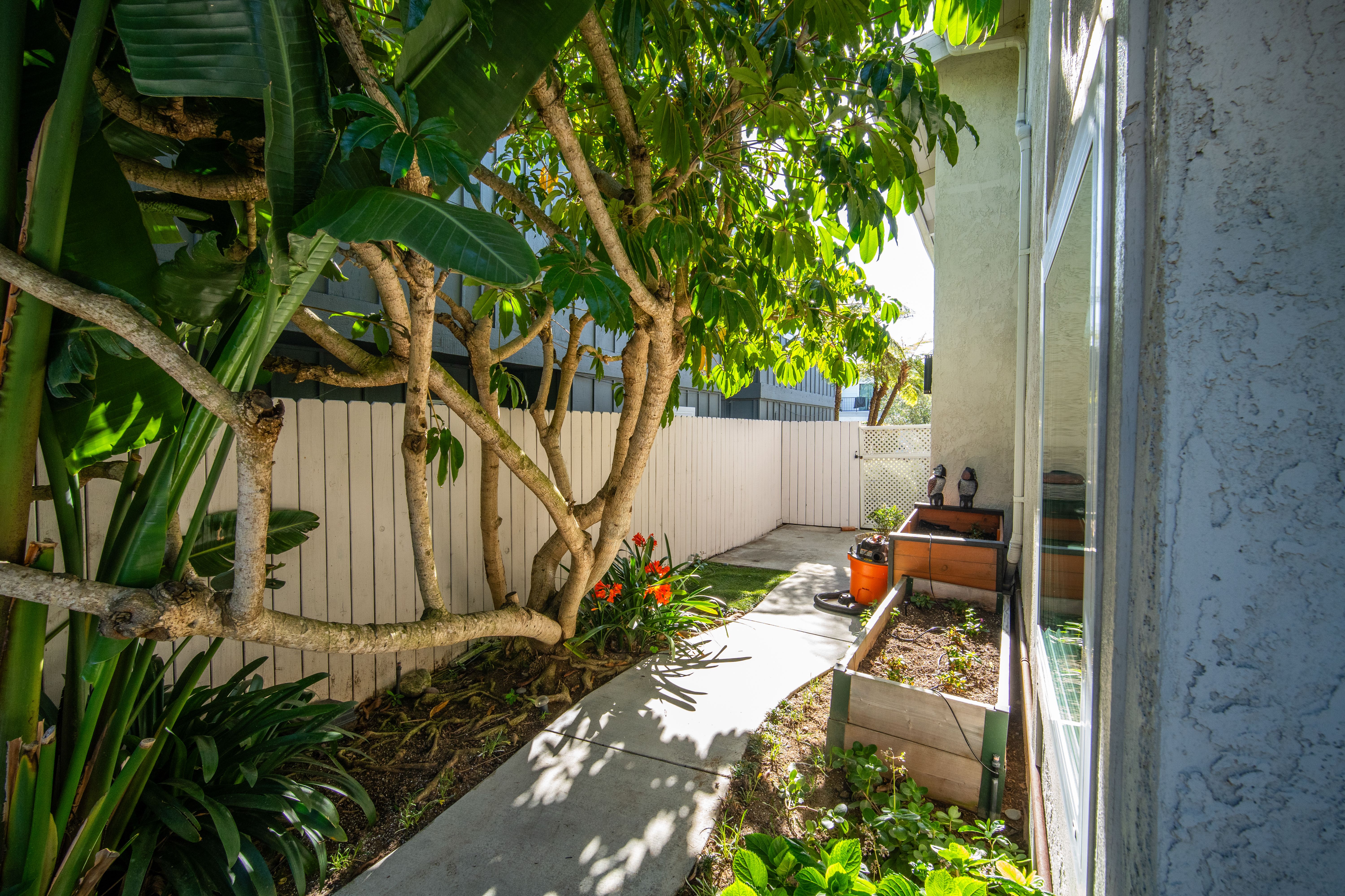  956 Tia Juana Street, Laguna Beach, CA 92651 - 物件實景