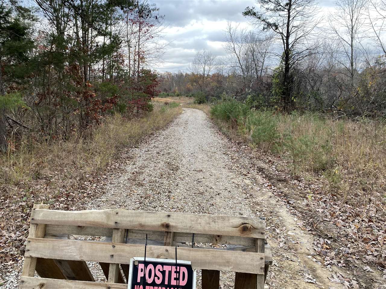Clarkson, Kentucky, 42726, United States, ,Land,For Sale,1828562