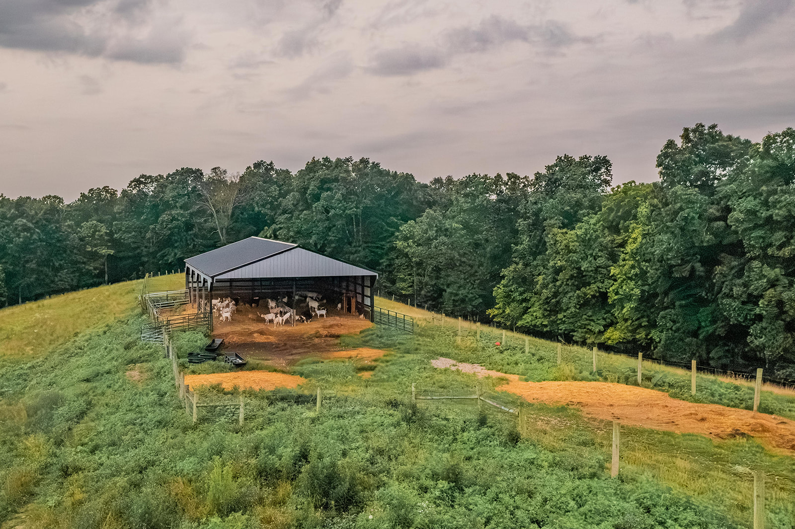 Lawrenceburg, Kentucky, 40342, United States, ,Residential,For Sale,1930802