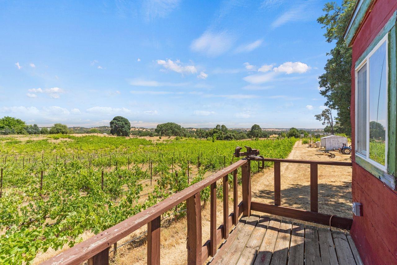 21226 Dickson Road, Plymouth, California, 95669, United States, ,Land,For Sale,21226 Dickson Road,1672447