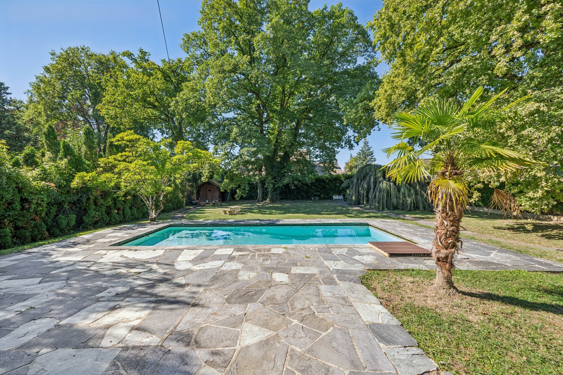  Genthod – Exceptional family villa, set in lush greenery and featuring a pool - 物件實景