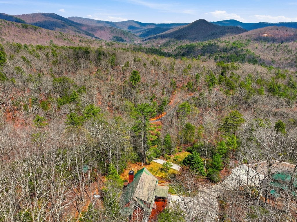 Ellijay, Georgia, 30536, United States, 2 Bedrooms Bedrooms, ,3 BathroomsBathrooms,Residential,For Sale,2034999