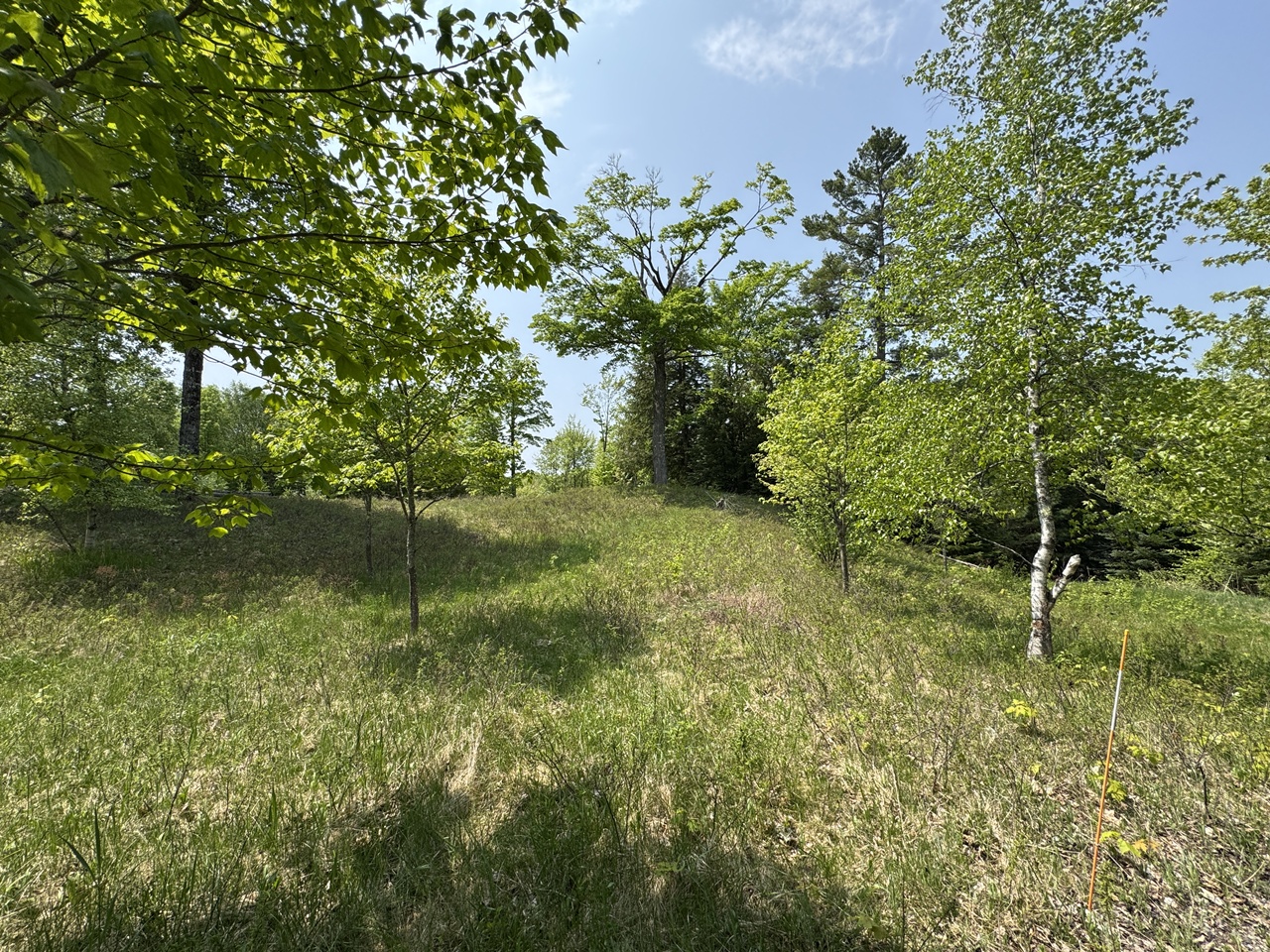 Oma, Wisconsin, 54534, United States, ,Residential,For Sale,1920346