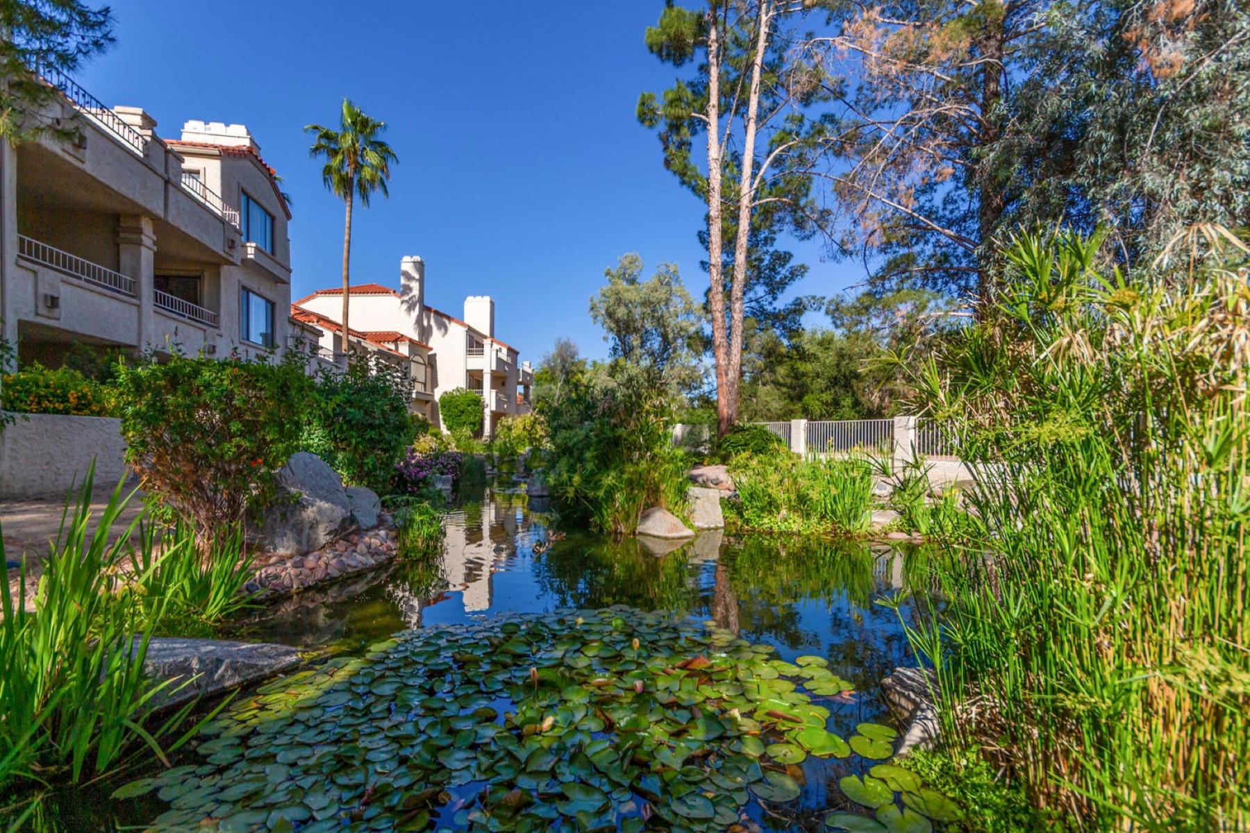  10080 E Mountainview Lake Drive  Scottsdale, AZ - 物件實景