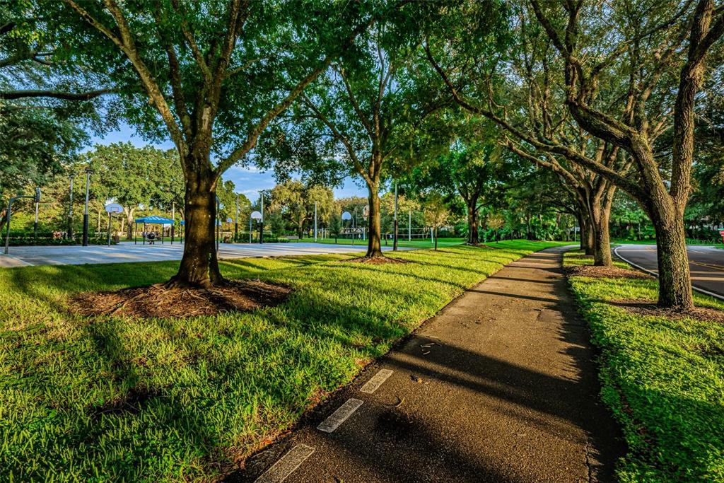 Palm Harbor, Florida, 34685, United States, 4 Bedrooms Bedrooms, ,3 BathroomsBathrooms,Residential,For Sale,1987675