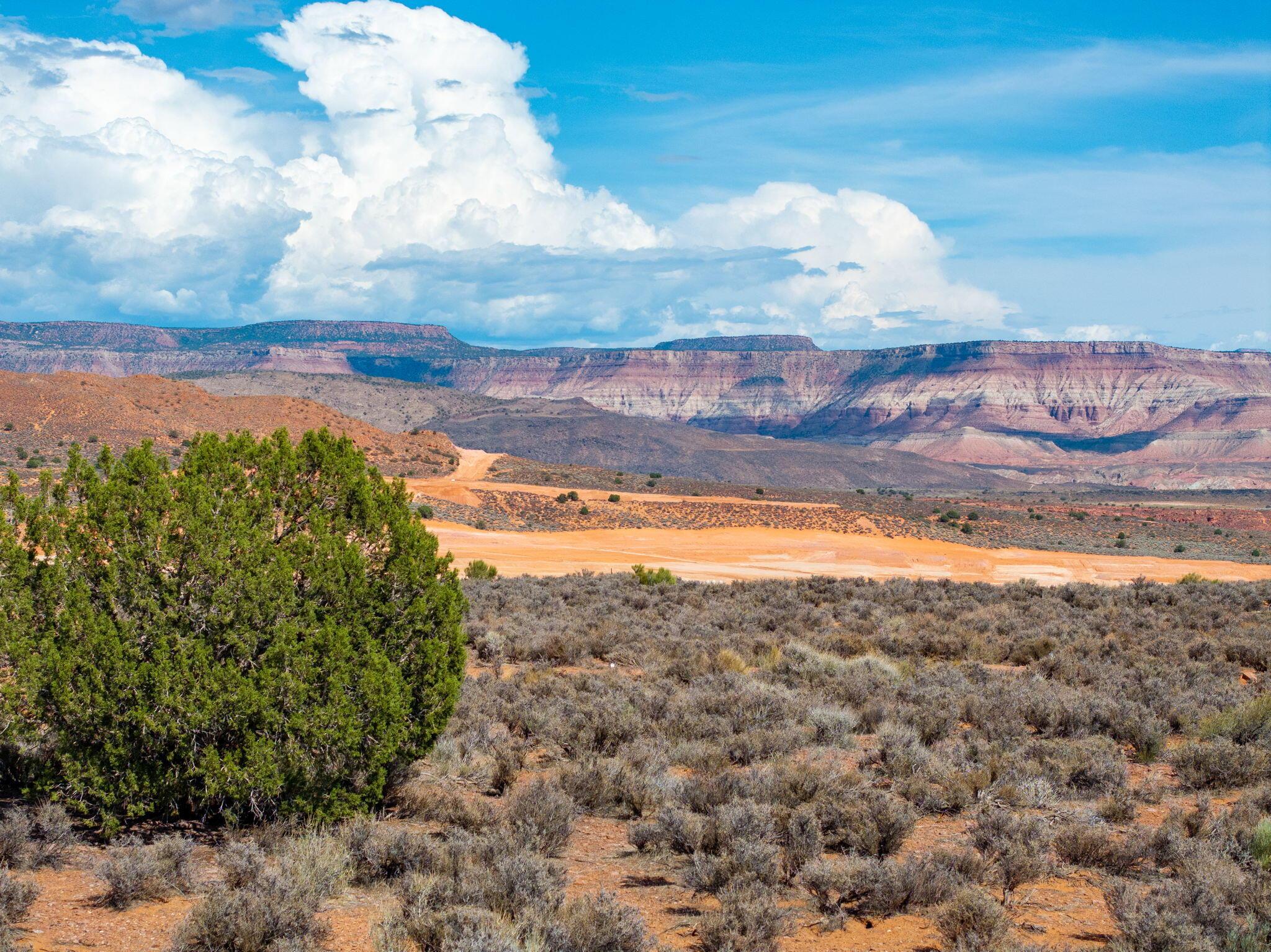 Leeds, Utah, 84746, United States, ,Residential,For Sale,2005958