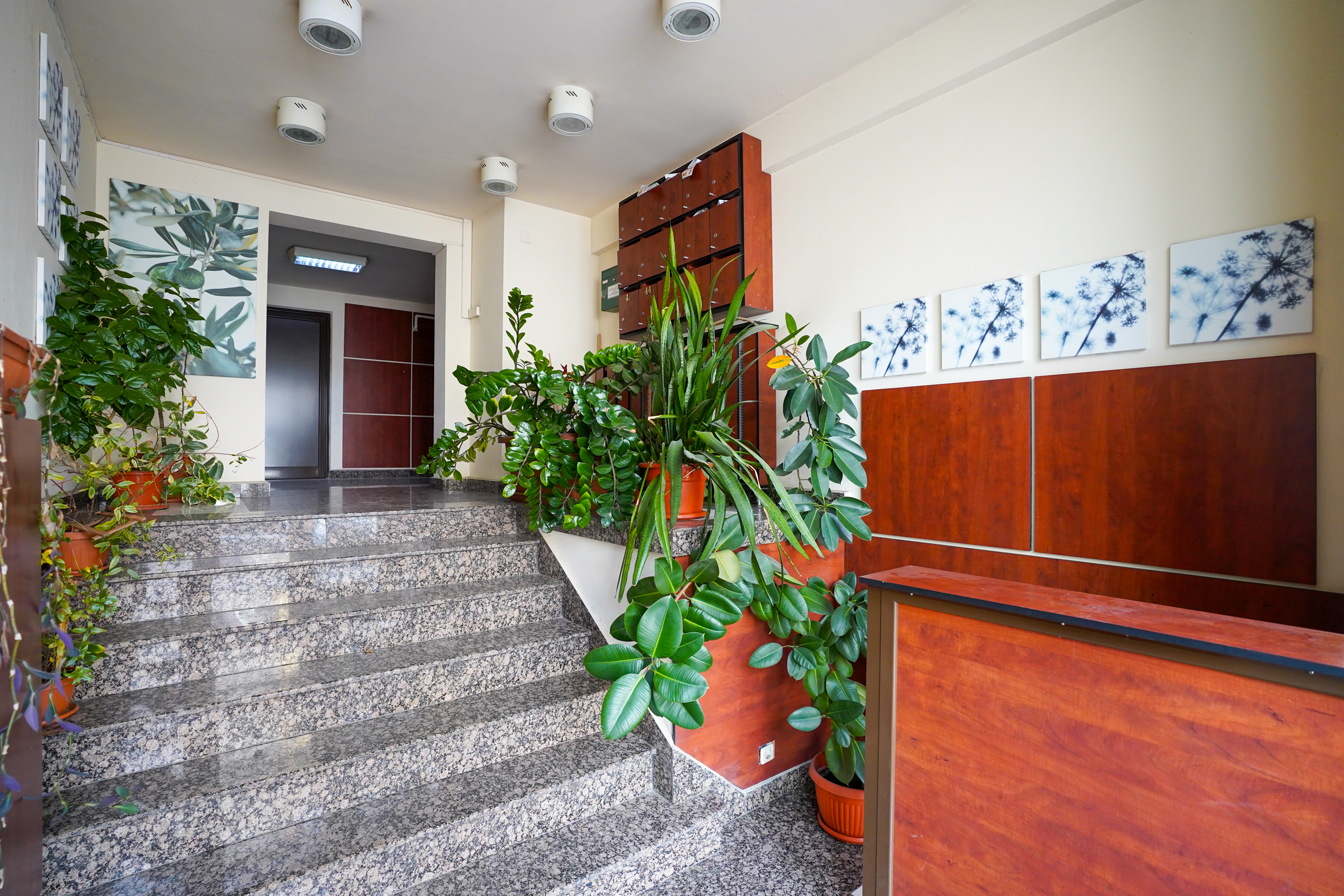  Three-Room Apartment in a Boutique Building in the Heart of the Floreasca - 物件實景