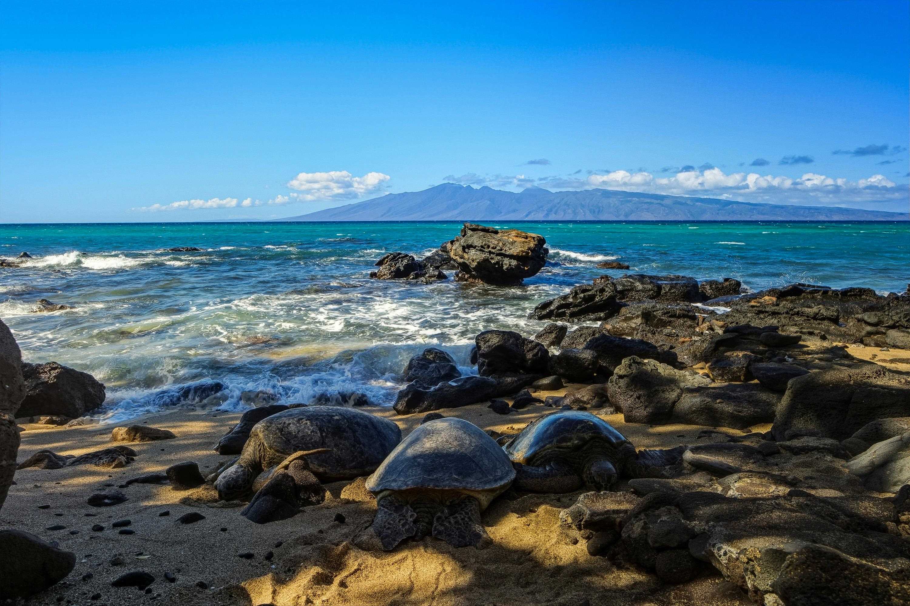 Lahaina, Hawaii, 96761, United States, 1 Bedroom Bedrooms, ,1 BathroomBathrooms,Residential,For Sale,1995975