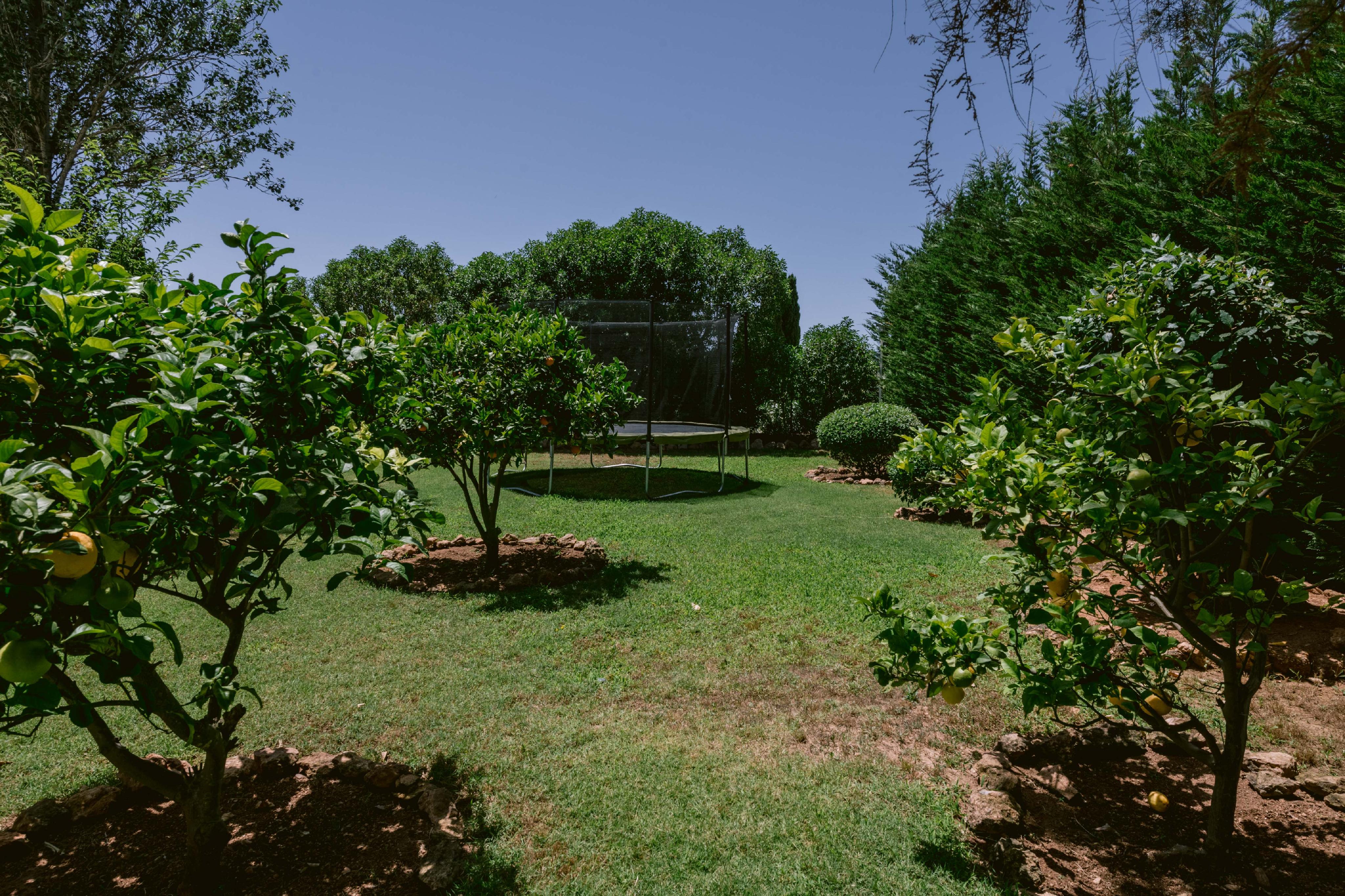 ObjectPhoto31
