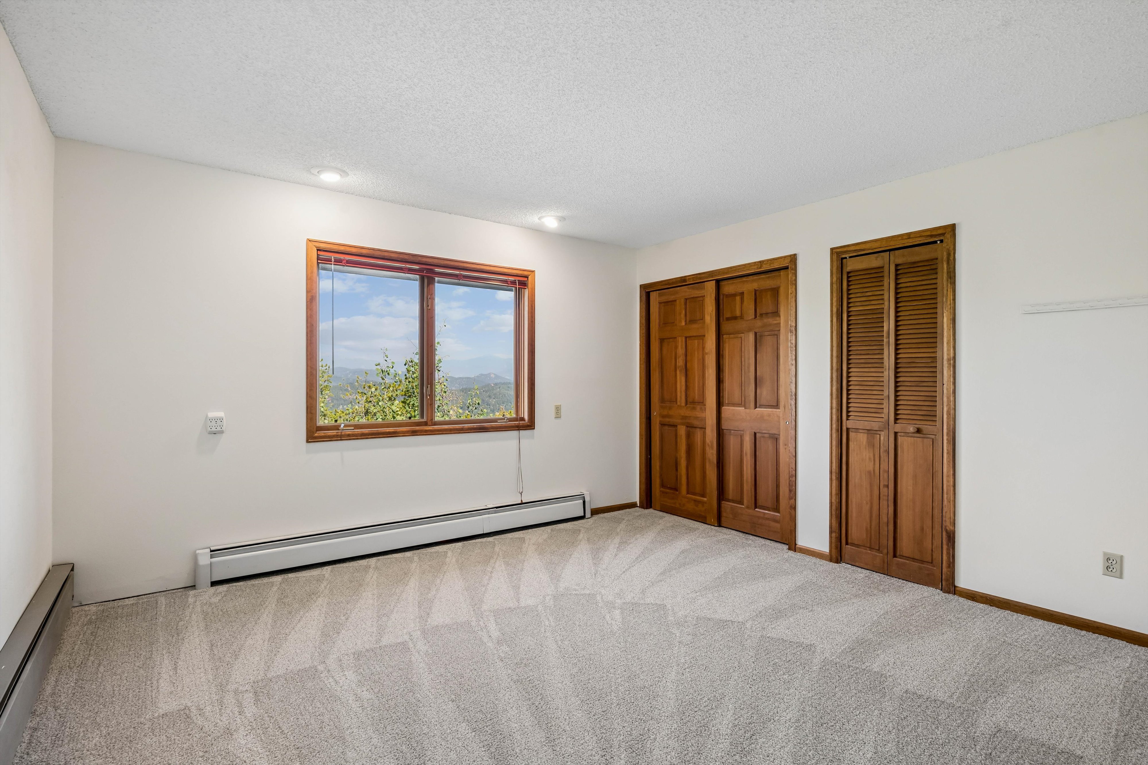  Colorado Mountain Living on 5.29 Wood/Sloping Acres - 物件實景