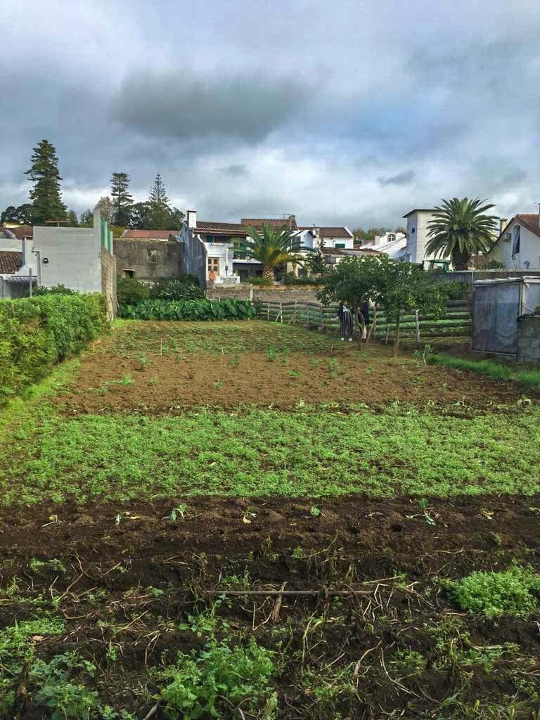 Lagoa (Açores), Ilha de São Miguel, 9560-501, PT, ,Residential,For Sale,1991317