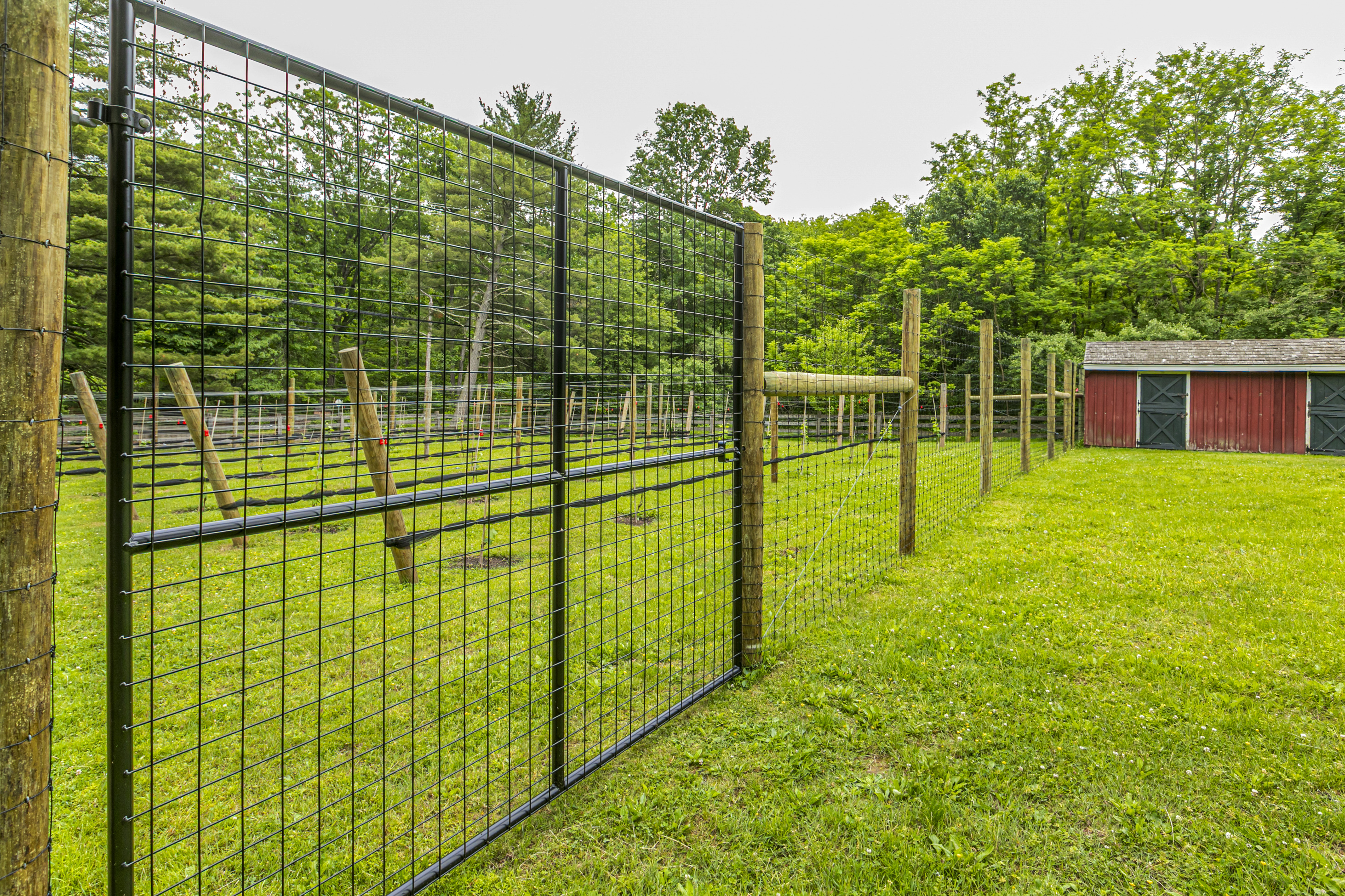  Luxury Estate with Vineyard For Sale Near Princeton - 物件實景