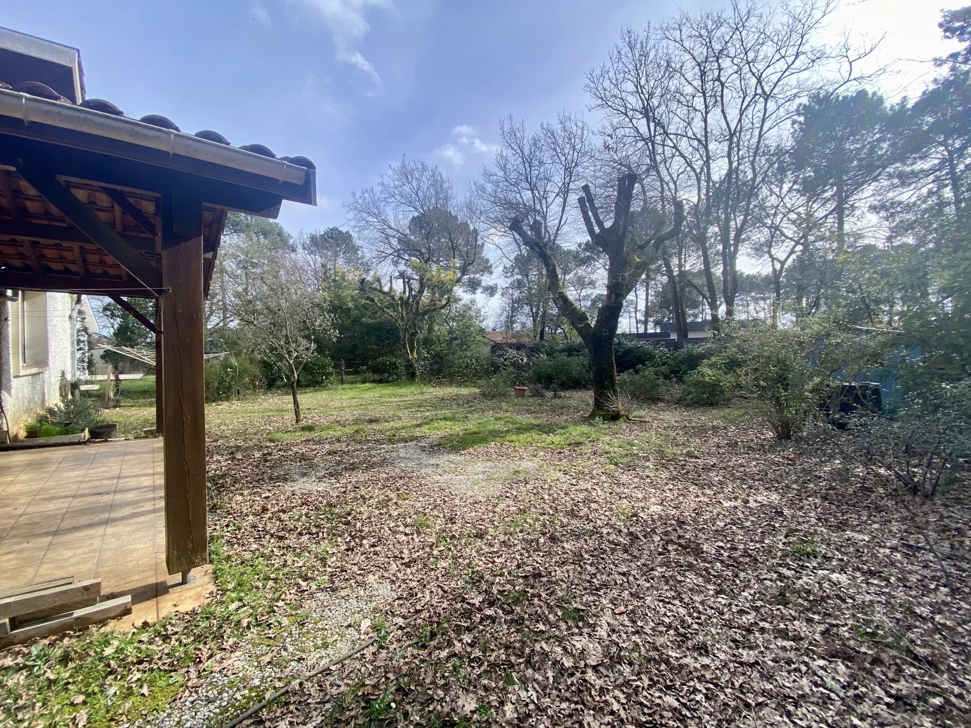Lège-Cap-Ferret, New Aquitaine, 33950, FR, 3 Bedrooms Bedrooms, ,2 BathroomsBathrooms,Residential,For Sale,1483234