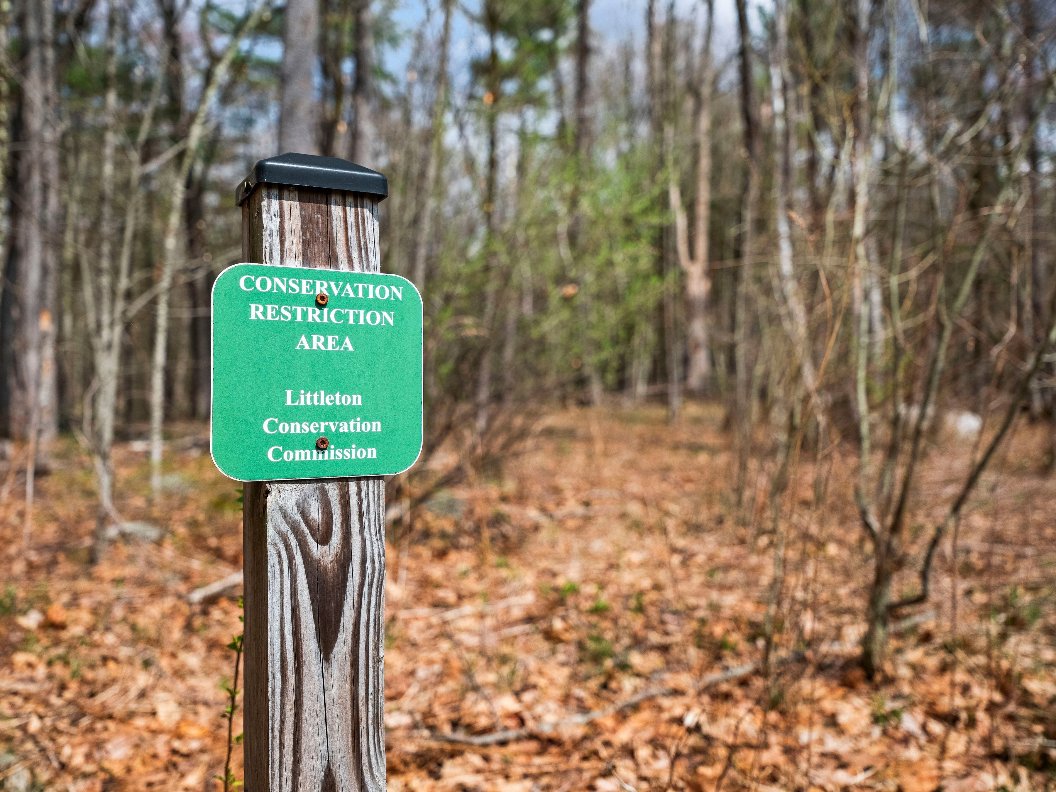  51 Hartwell Avenue, Littleton, MA 01460 - 物件實景