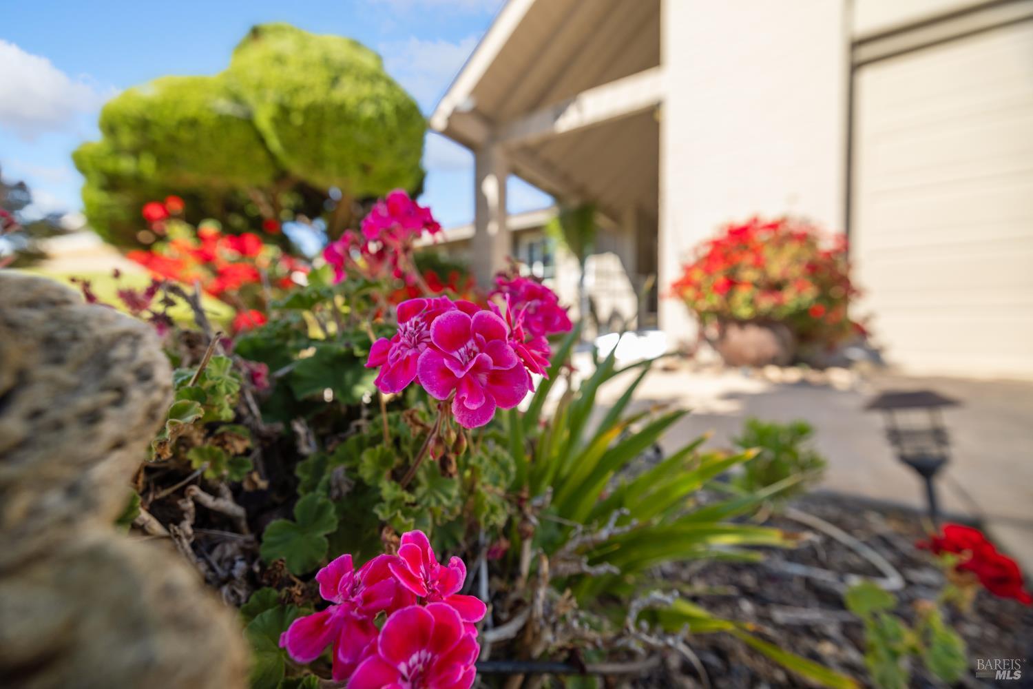 Santa Rosa, California, 95409, United States, 3 Bedrooms Bedrooms, ,2 BathroomsBathrooms,Residential,For Sale,1982534