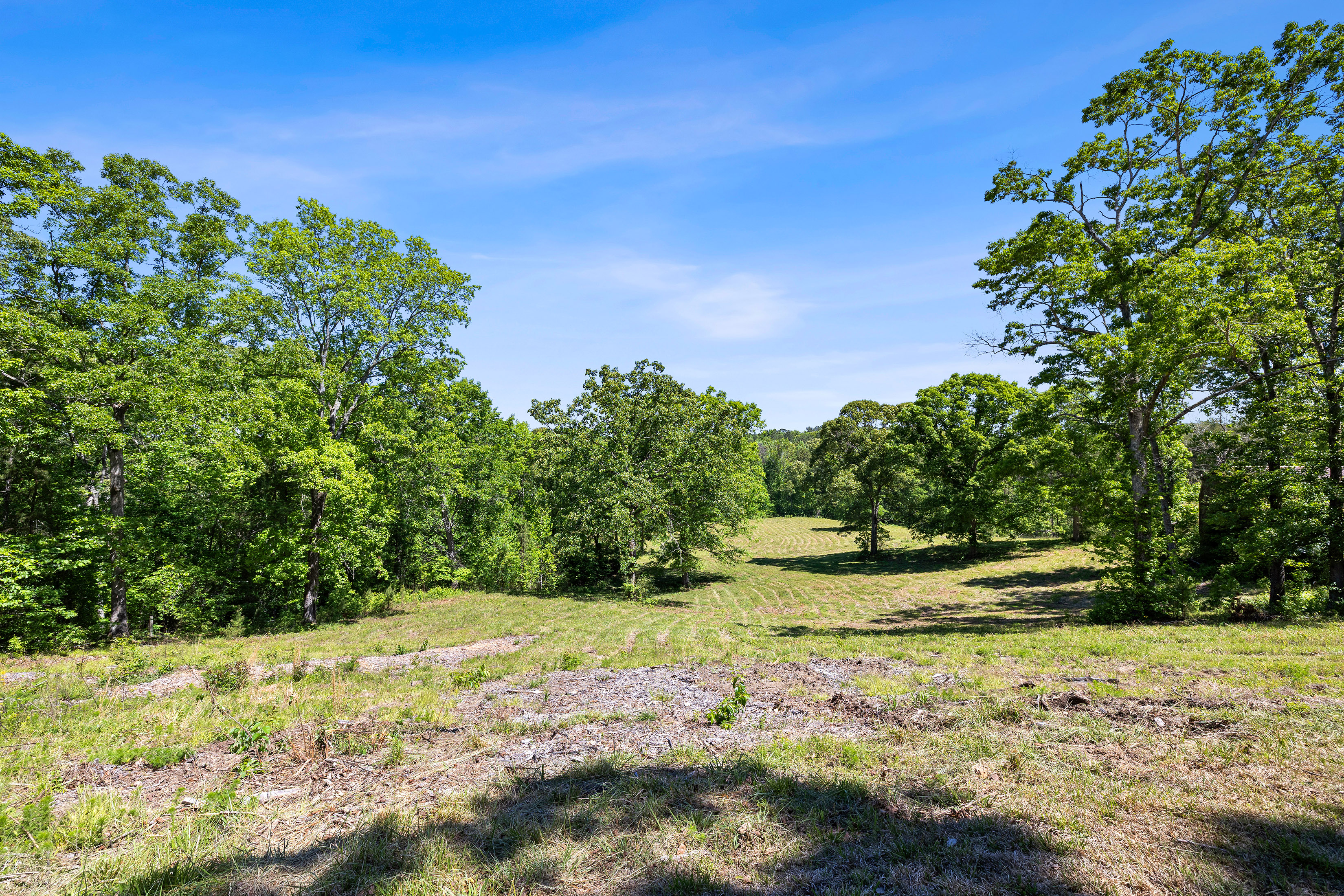  A Perfect Blend of Privacy and Natural Beauty in Newnan - 物件實景