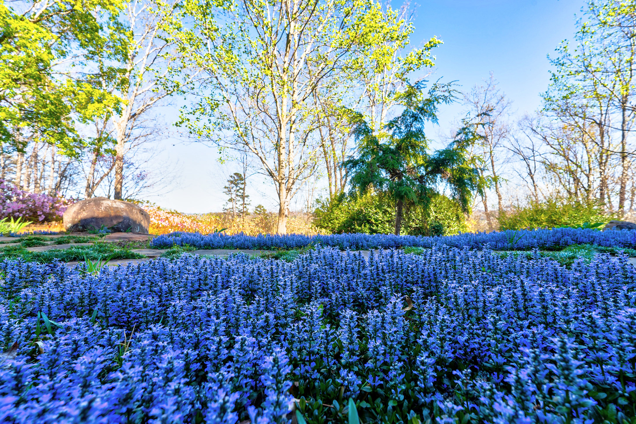  Once-in-a-Lifetime Legacy Property in the North Georgia Mountains - 物件實景