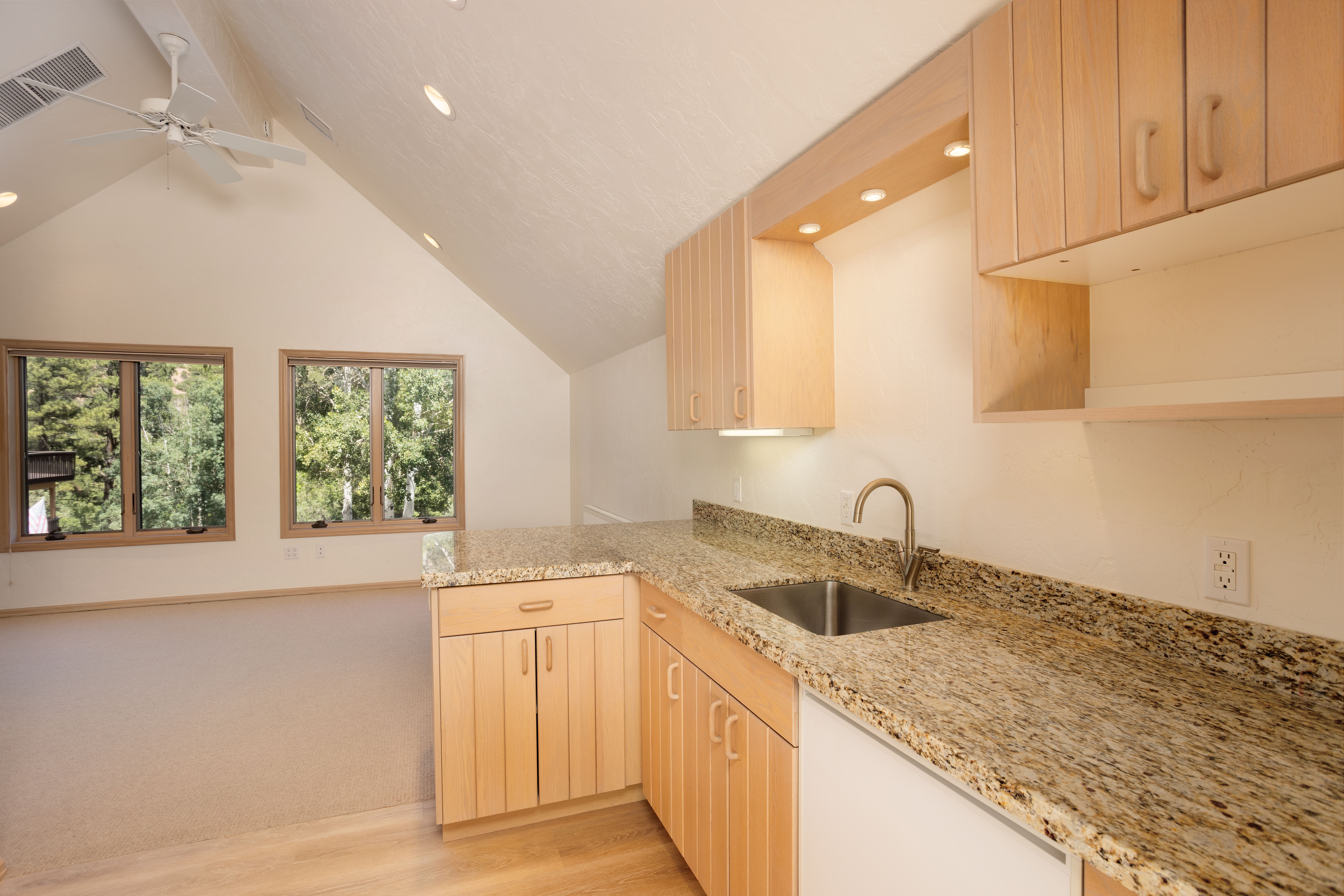 668 County Road 202, Durango, CO 81301 - 物件實景