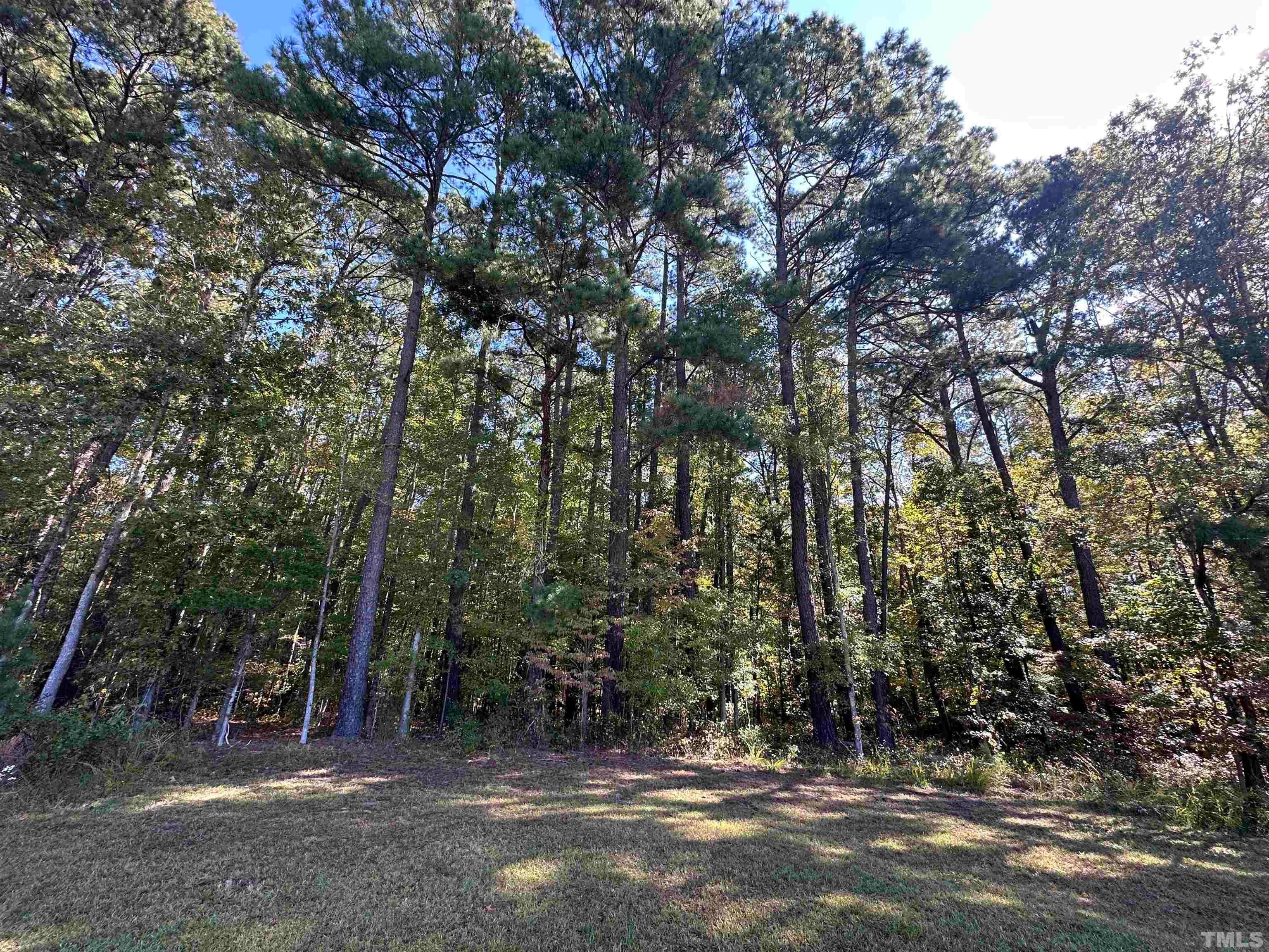 8017 Farrington Mill Road, Chapel Hill, North Carolina, 27517, United States, ,Land,For Sale,8017 Farrington Mill Road,1623508