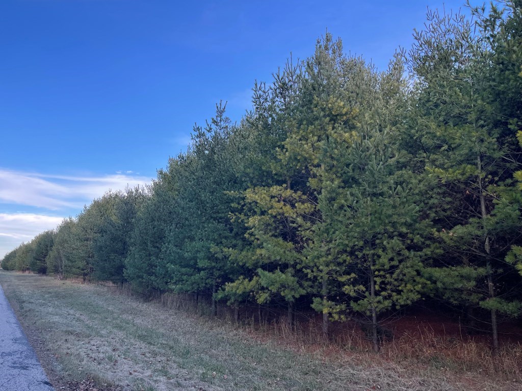 Baileys Harbor, Wisconsin, 54202, United States, ,Land,For Sale,1987673